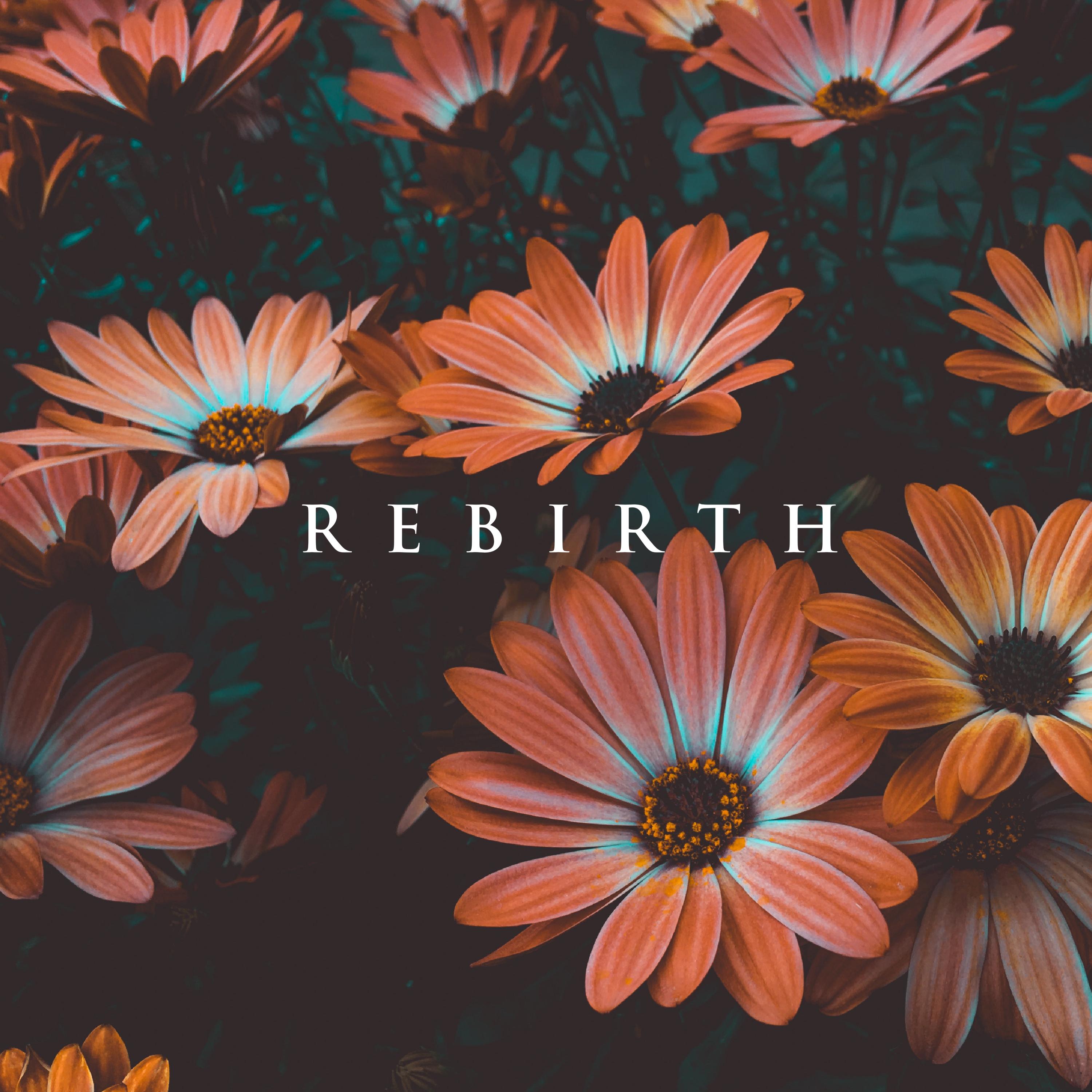 Rebirth