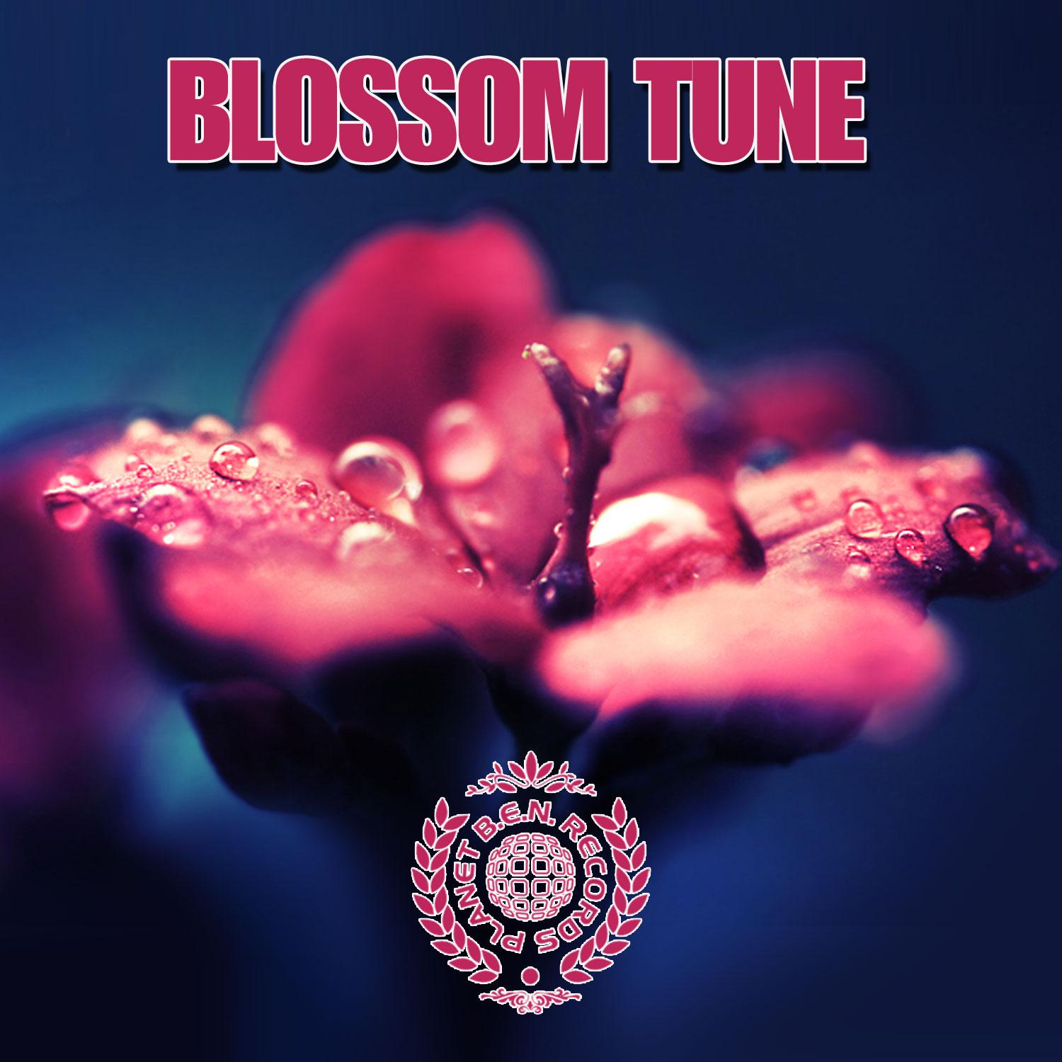 Blossom Tune