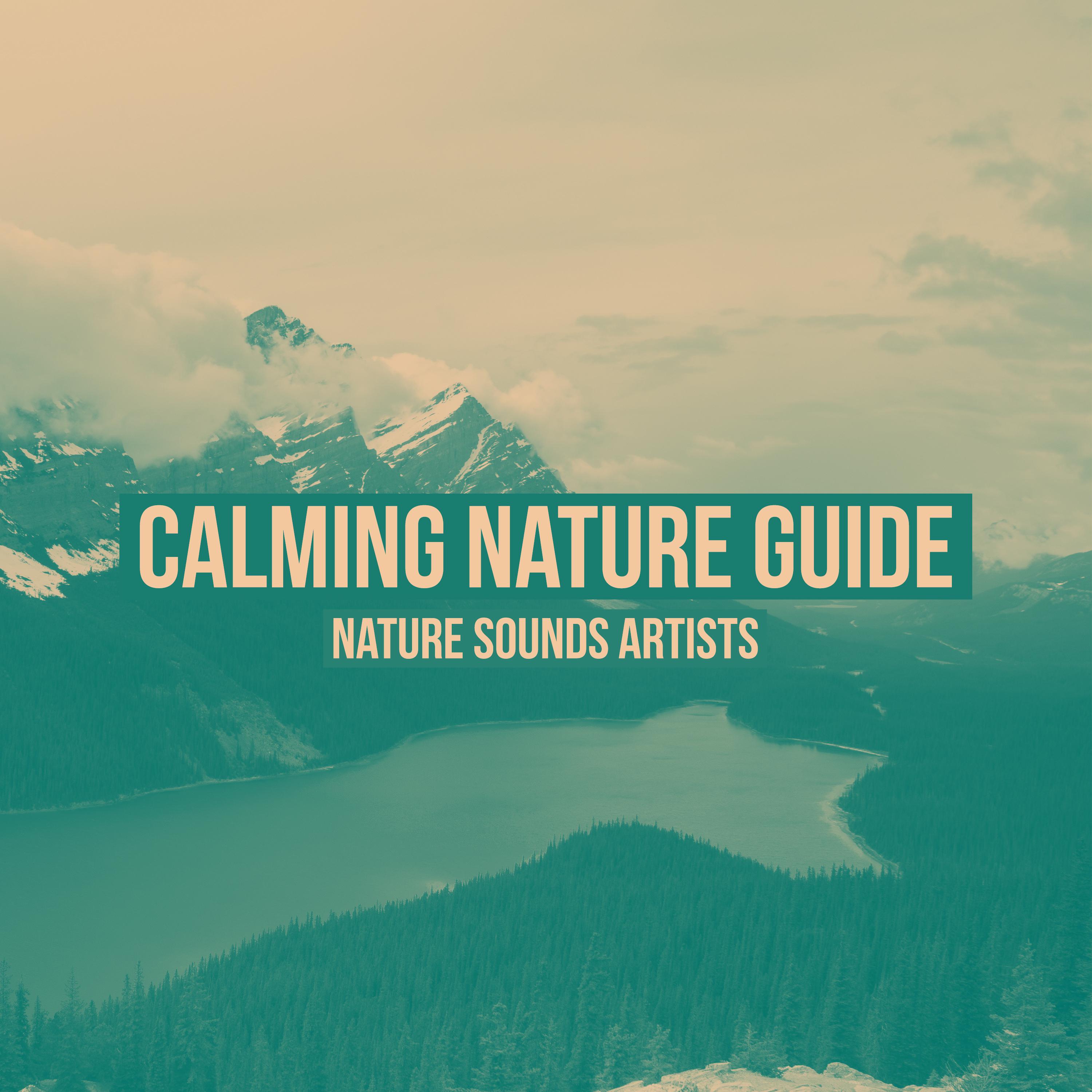 Calming Nature Guide