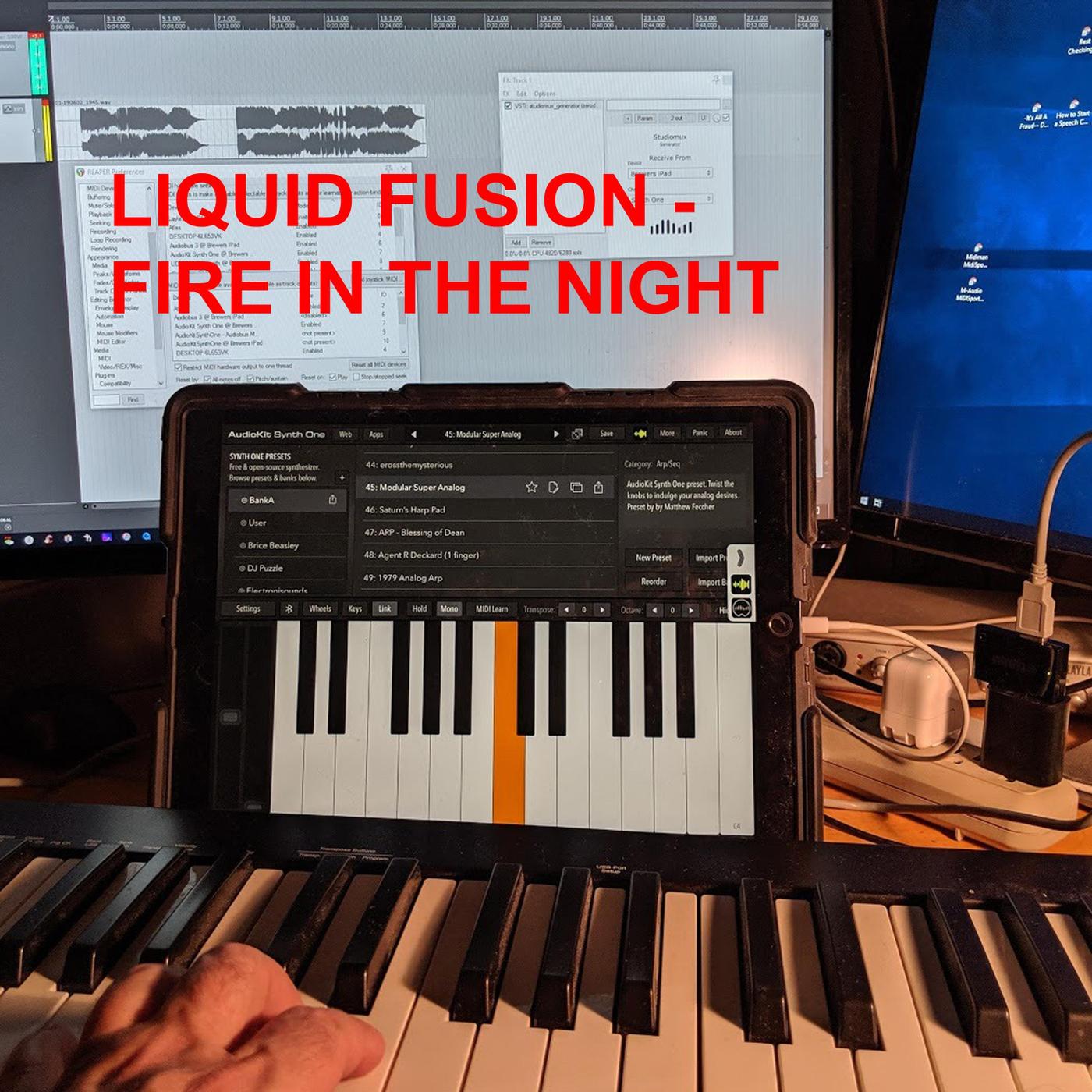 Liquid Fusion - Fire in the Night