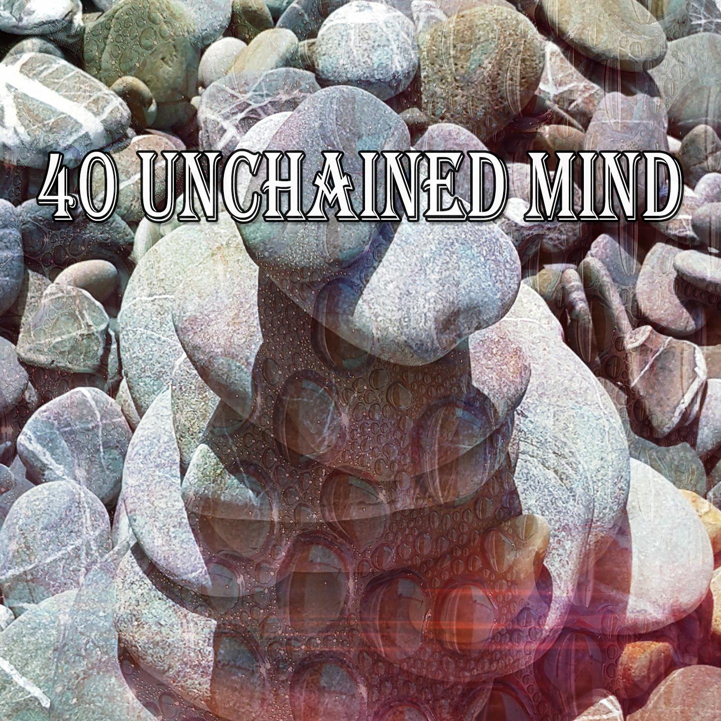 40 Unchained Mind