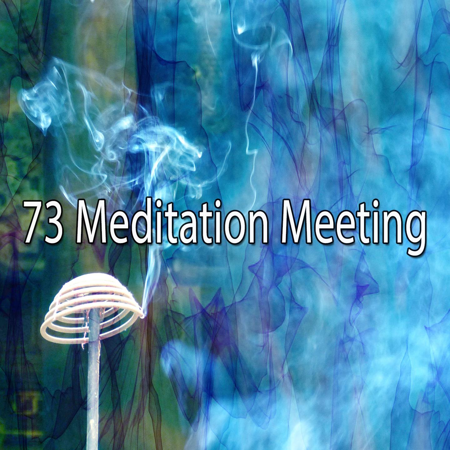 73 Meditation Meeting