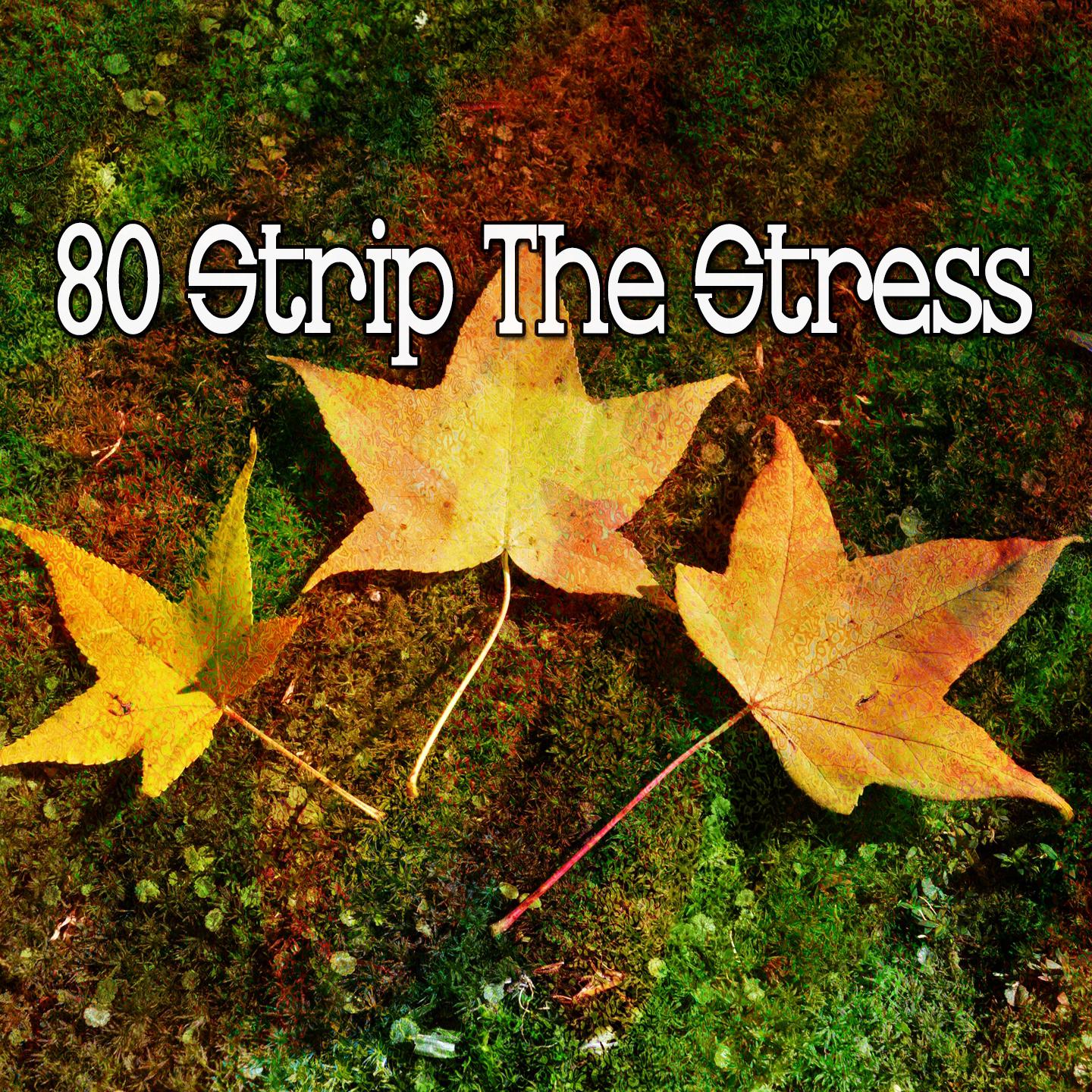 80 Strip the Stress