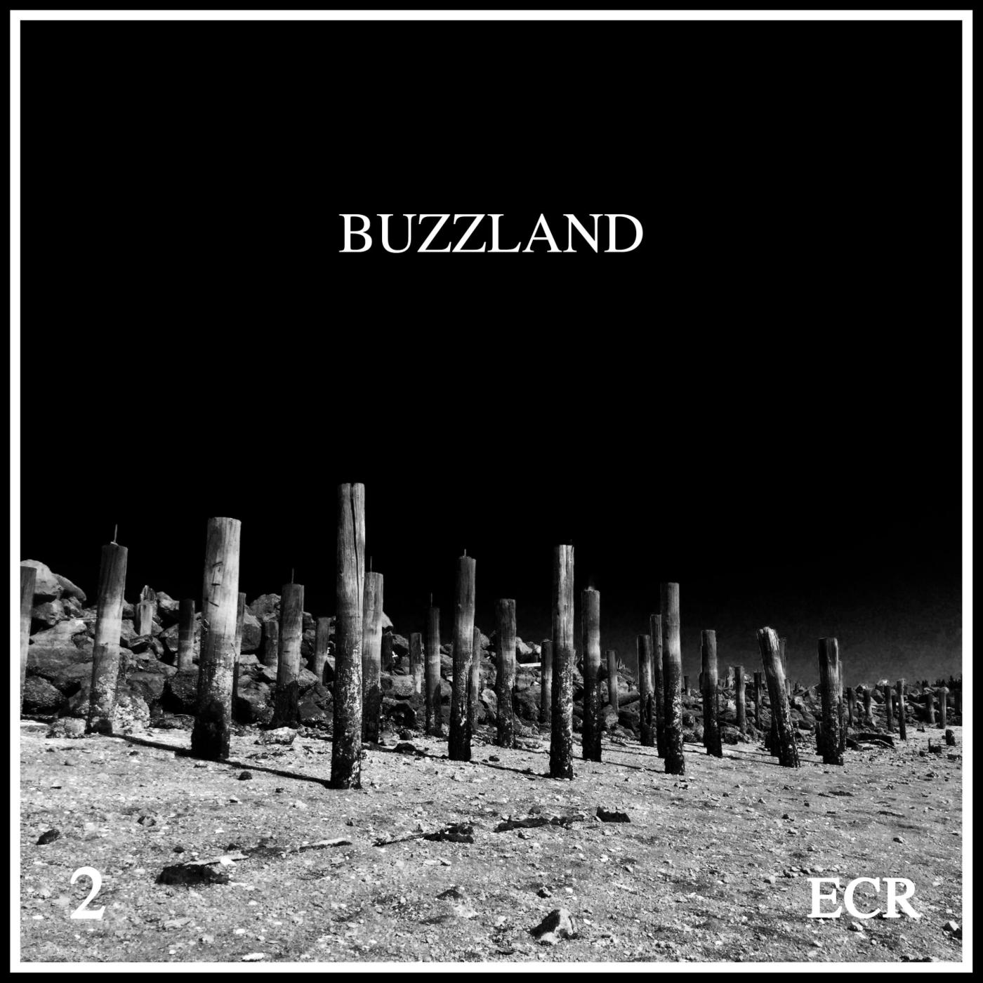 Buzzland 2