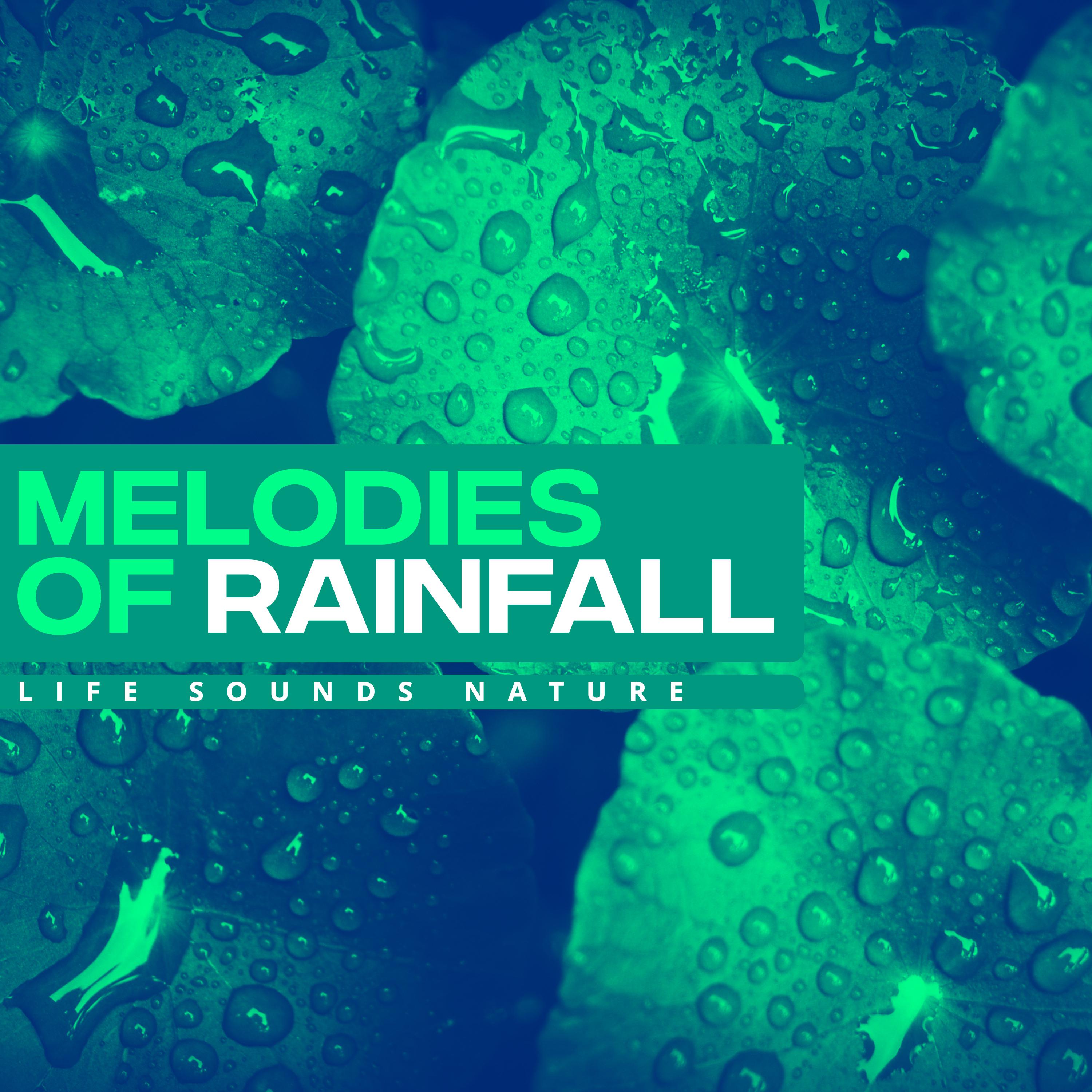 Melodies of Rainfall