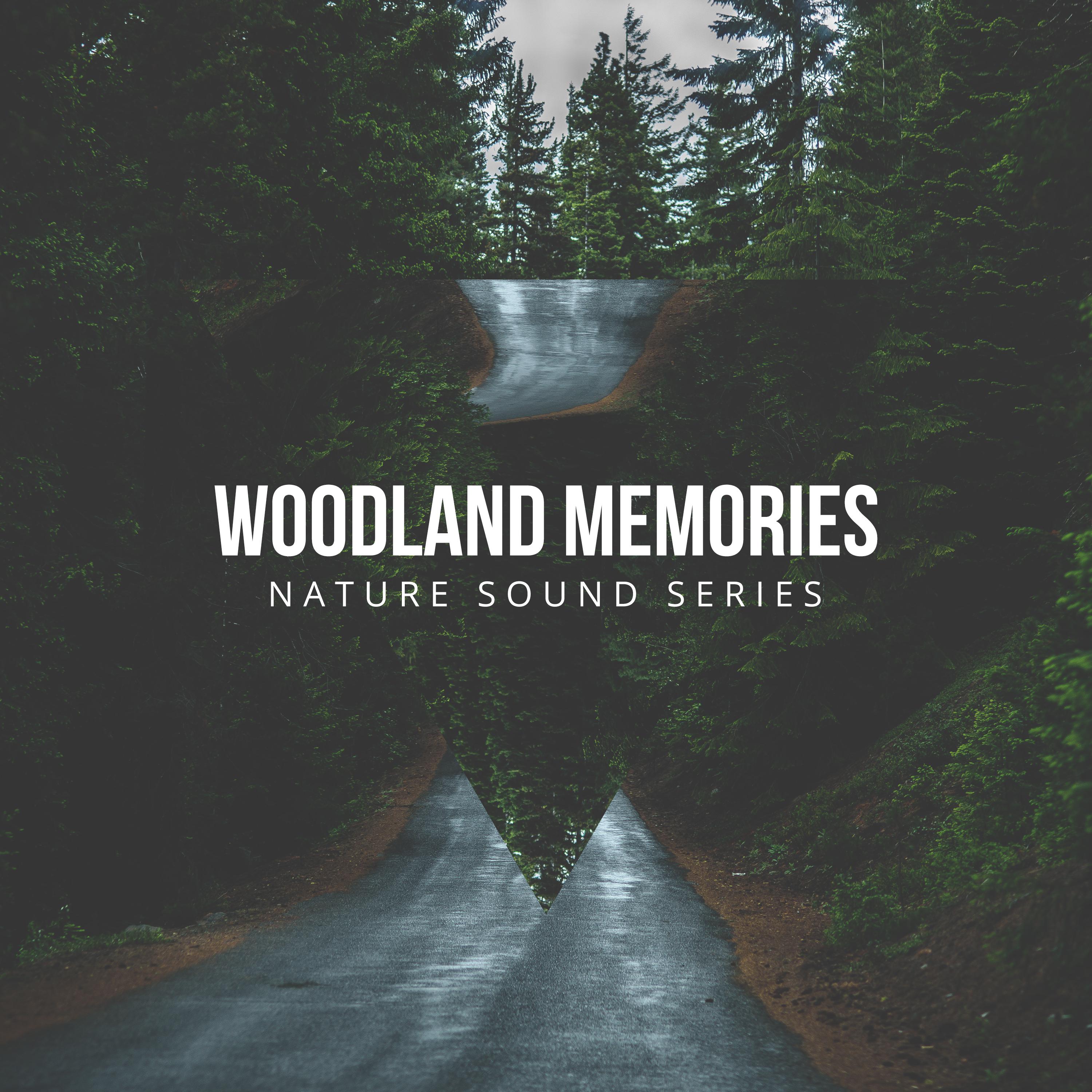 Woodland Memories