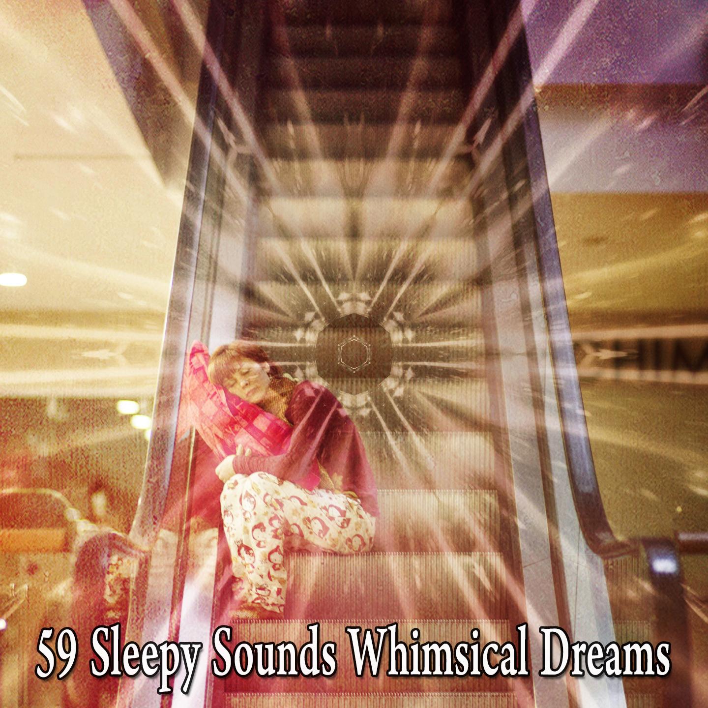 59 Sleepy Sounds Whimsical Dreams