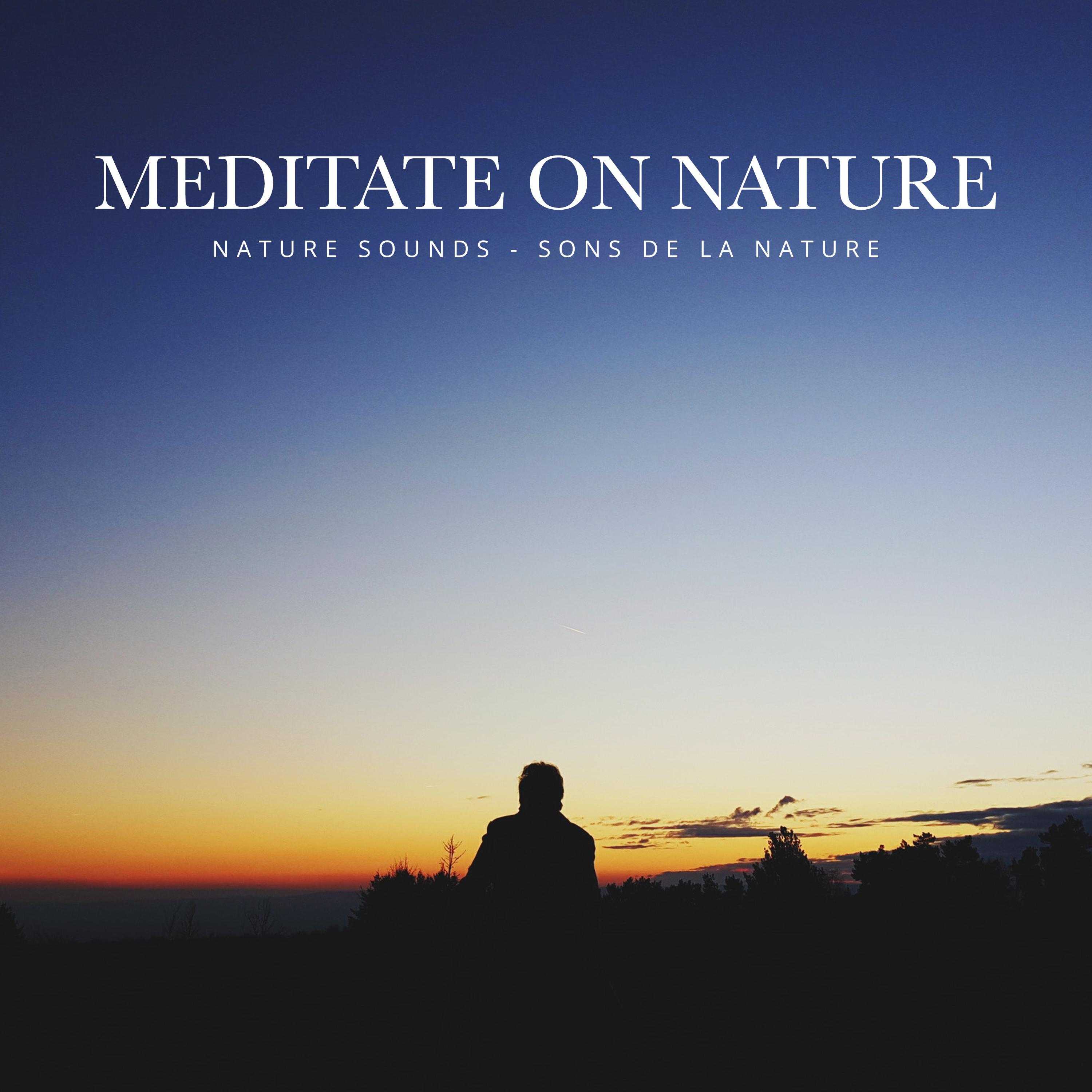 Meditate on Nature