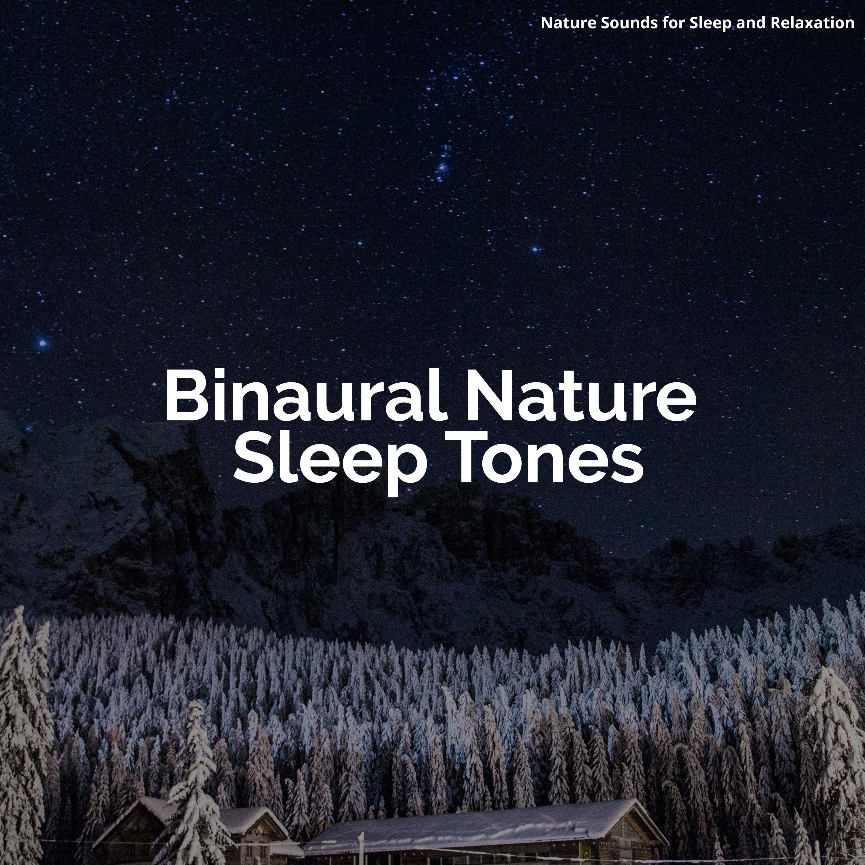Binaural Nature Sleep Tones