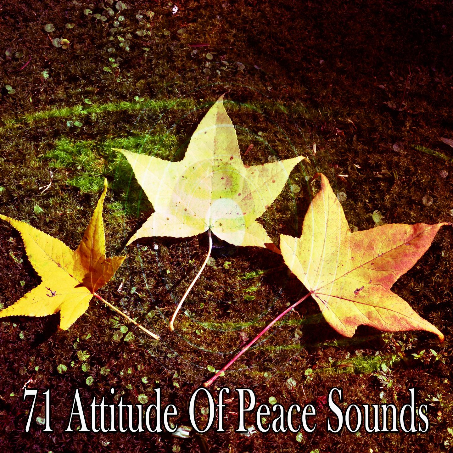 71 Attitude of Peace Sounds