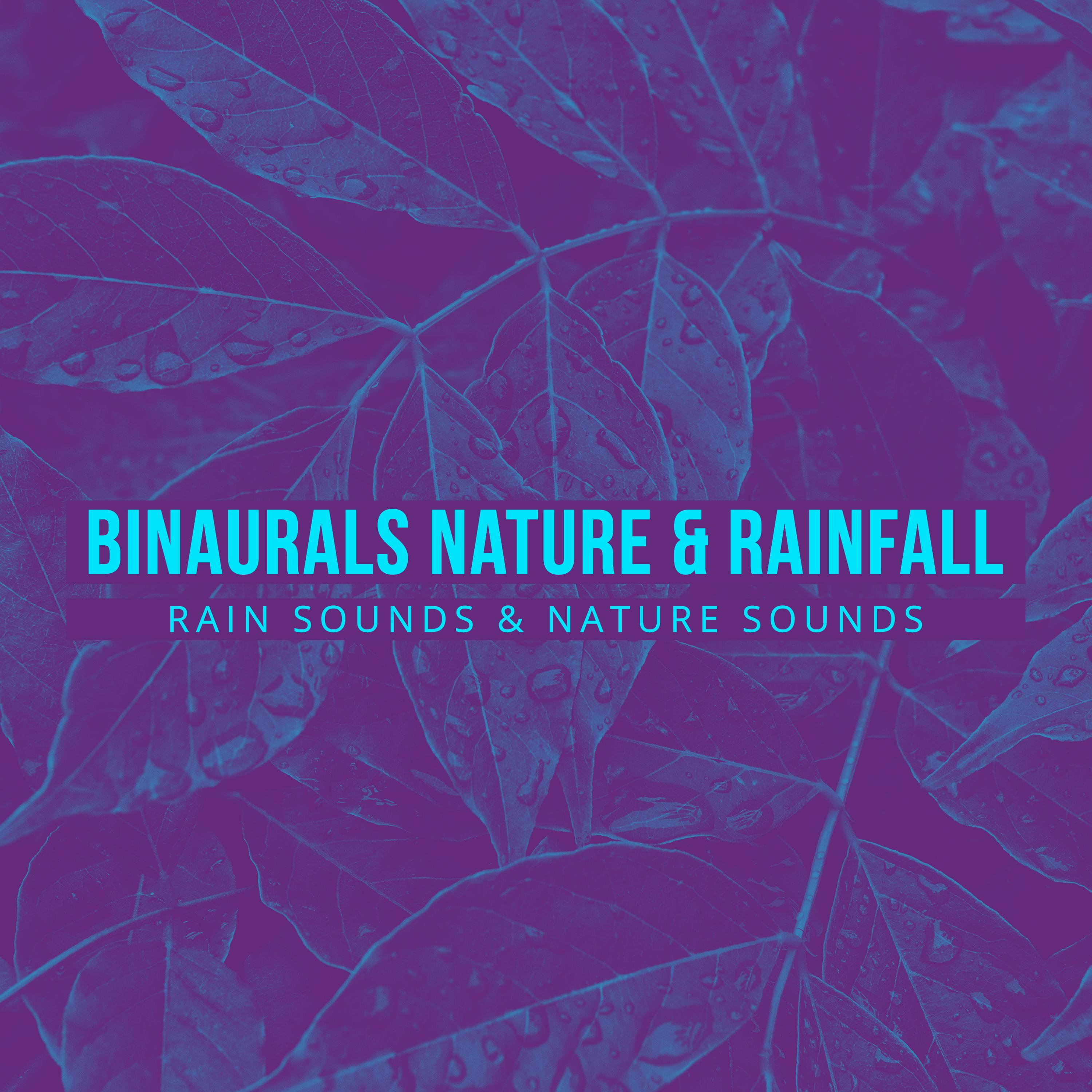 Binaurals Nature & Rainfall