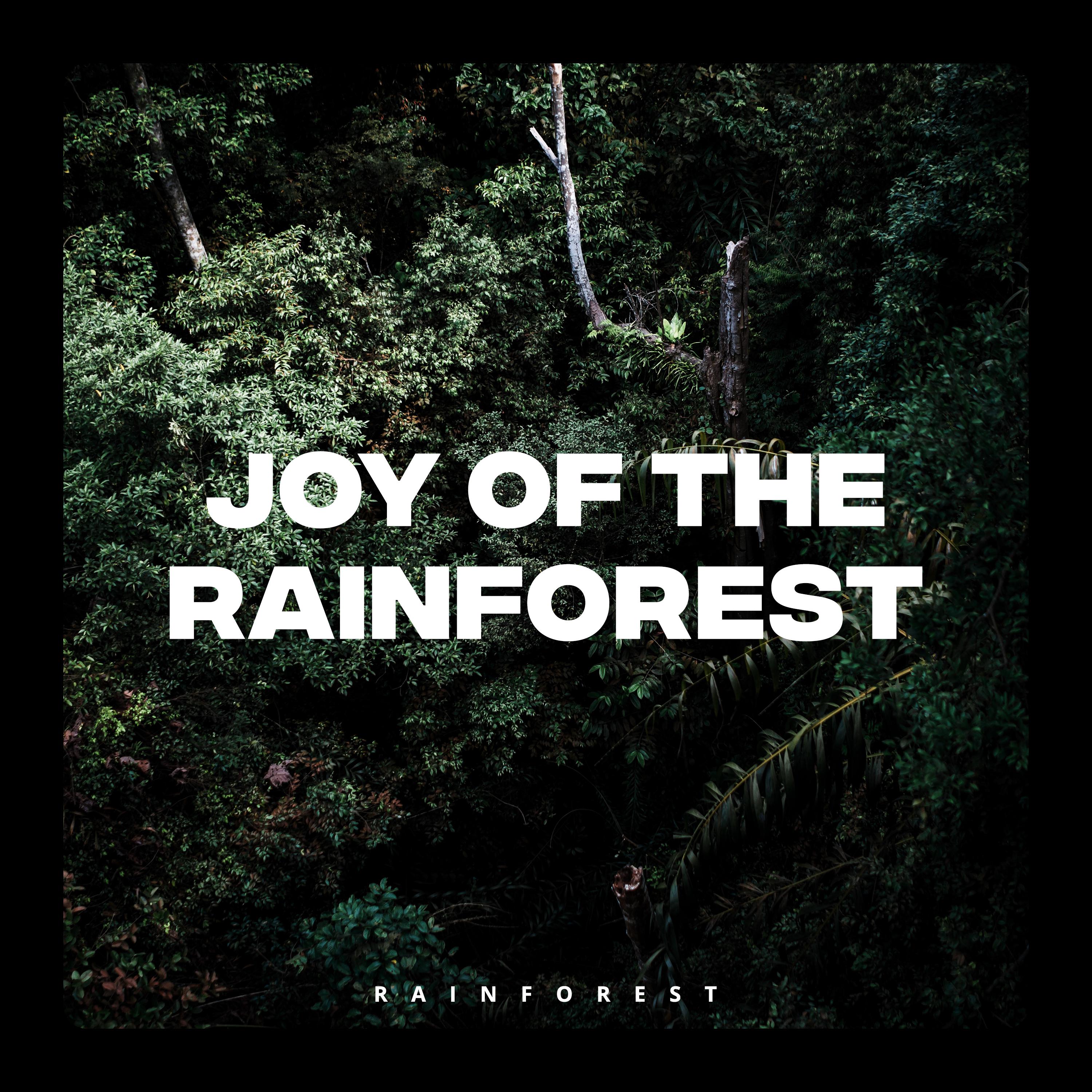 Joy of the Rainforest