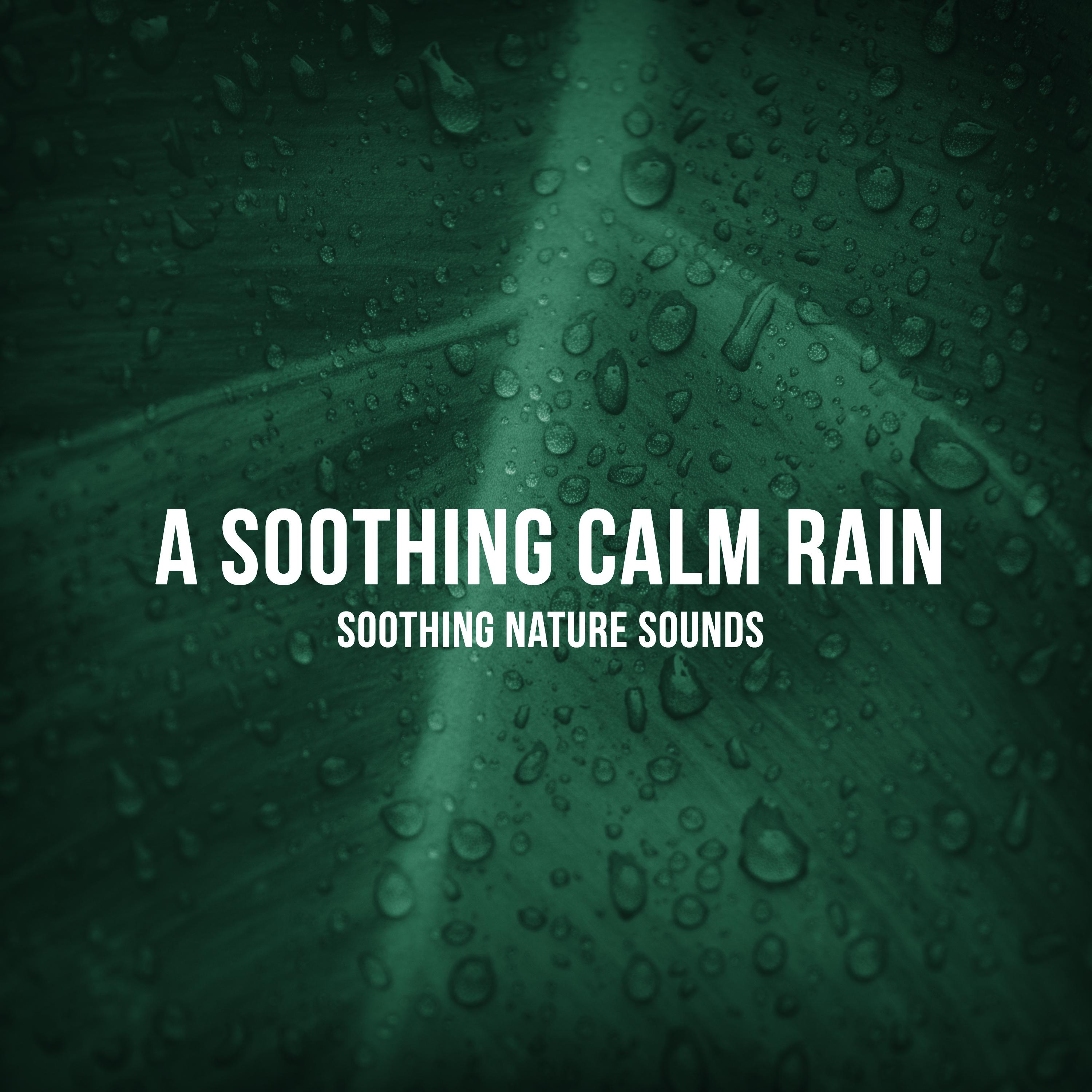 A Soothing Calm Rain