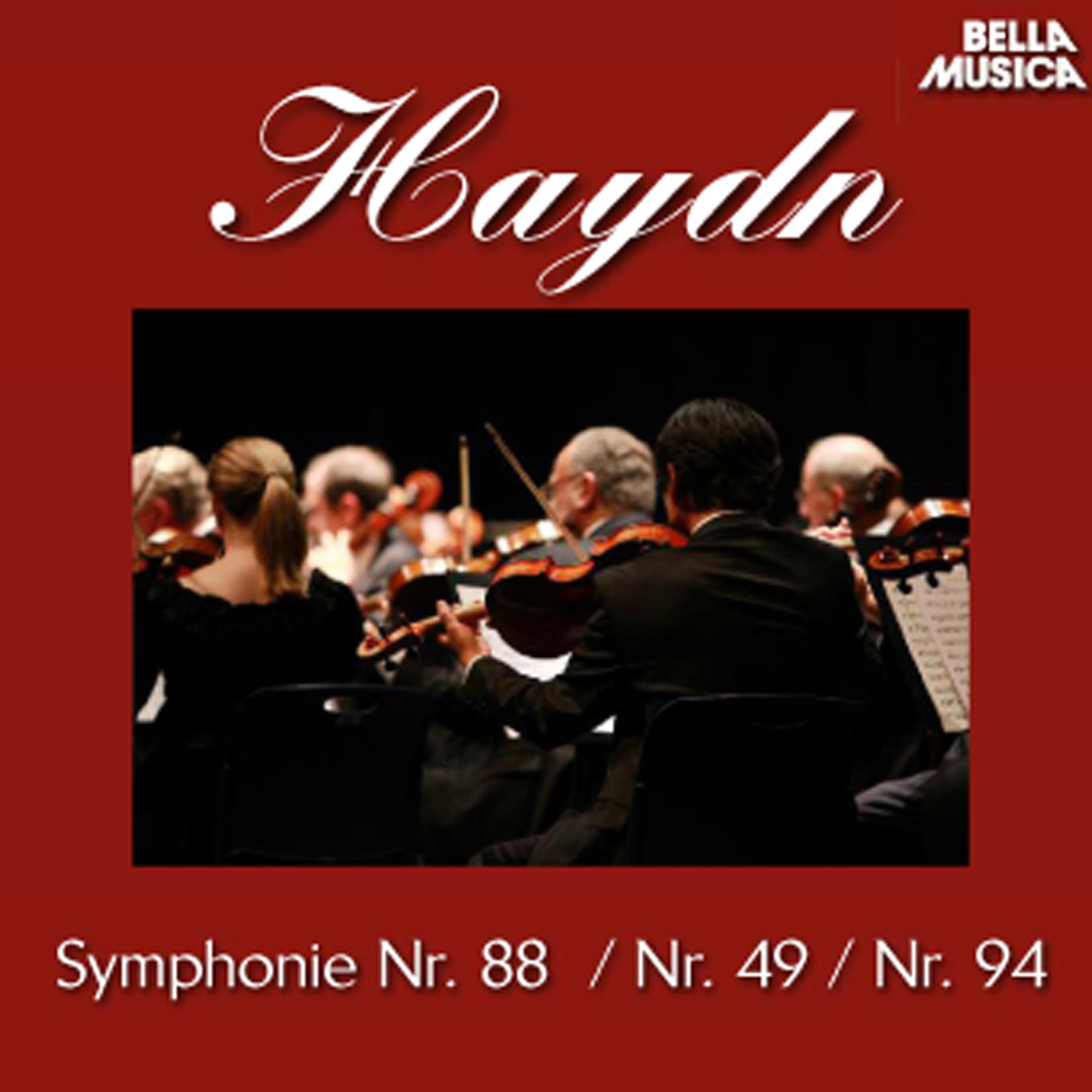 Sinfonie No. 49 fü r Orchester in F Minor, " La Passione": I. Adagio