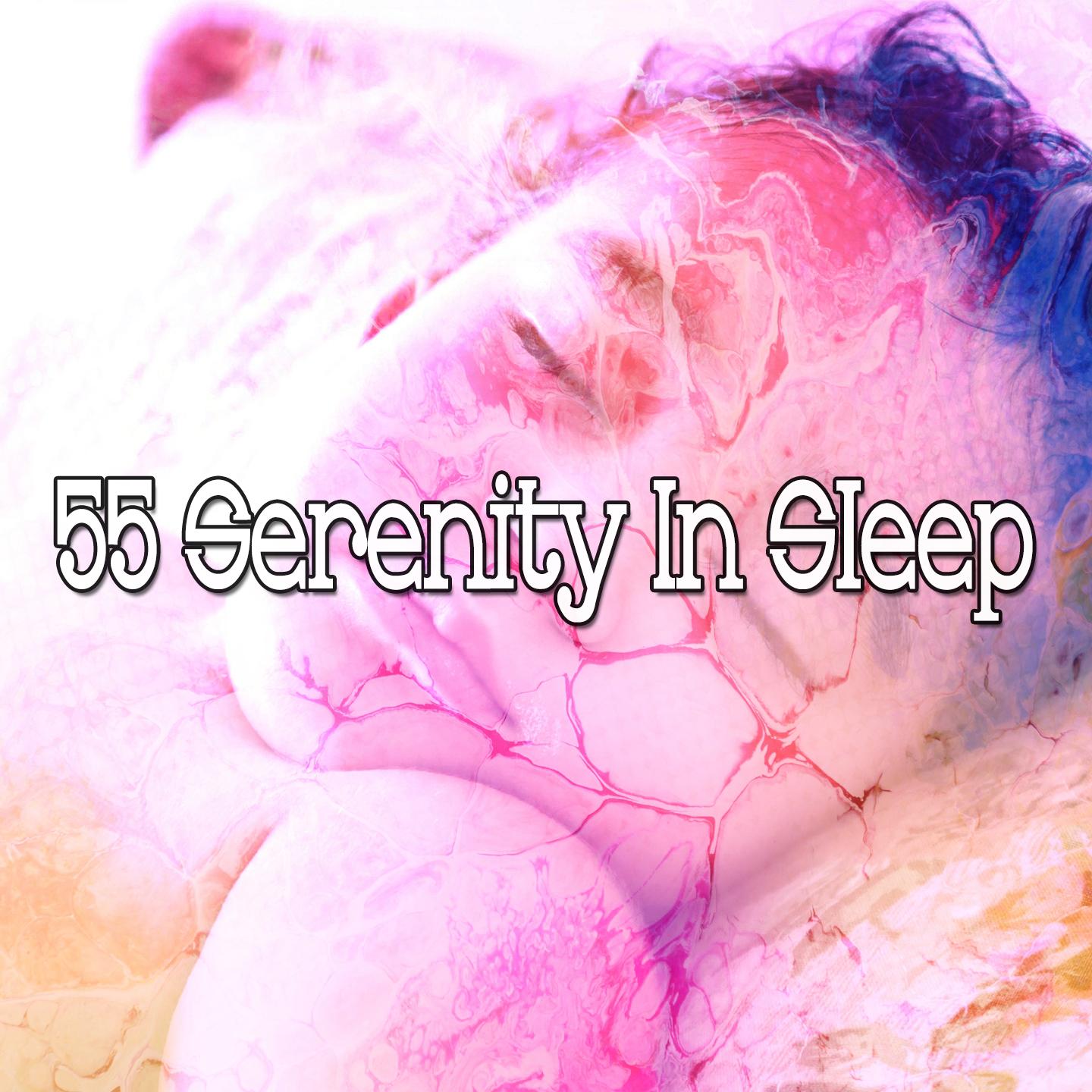 55 Serenity in Sleep