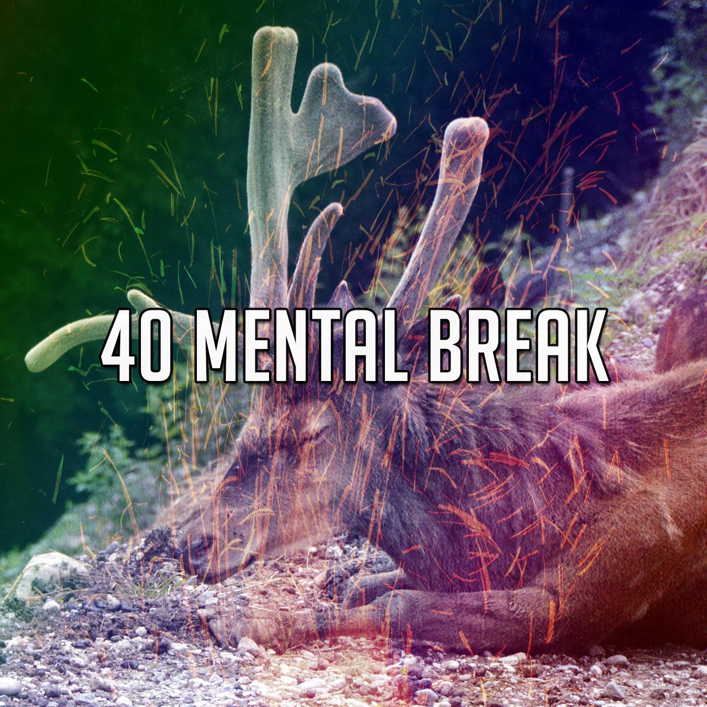 40 Mental Break