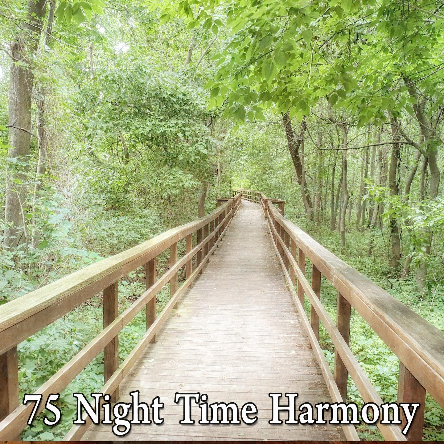 75 Night Time Harmony