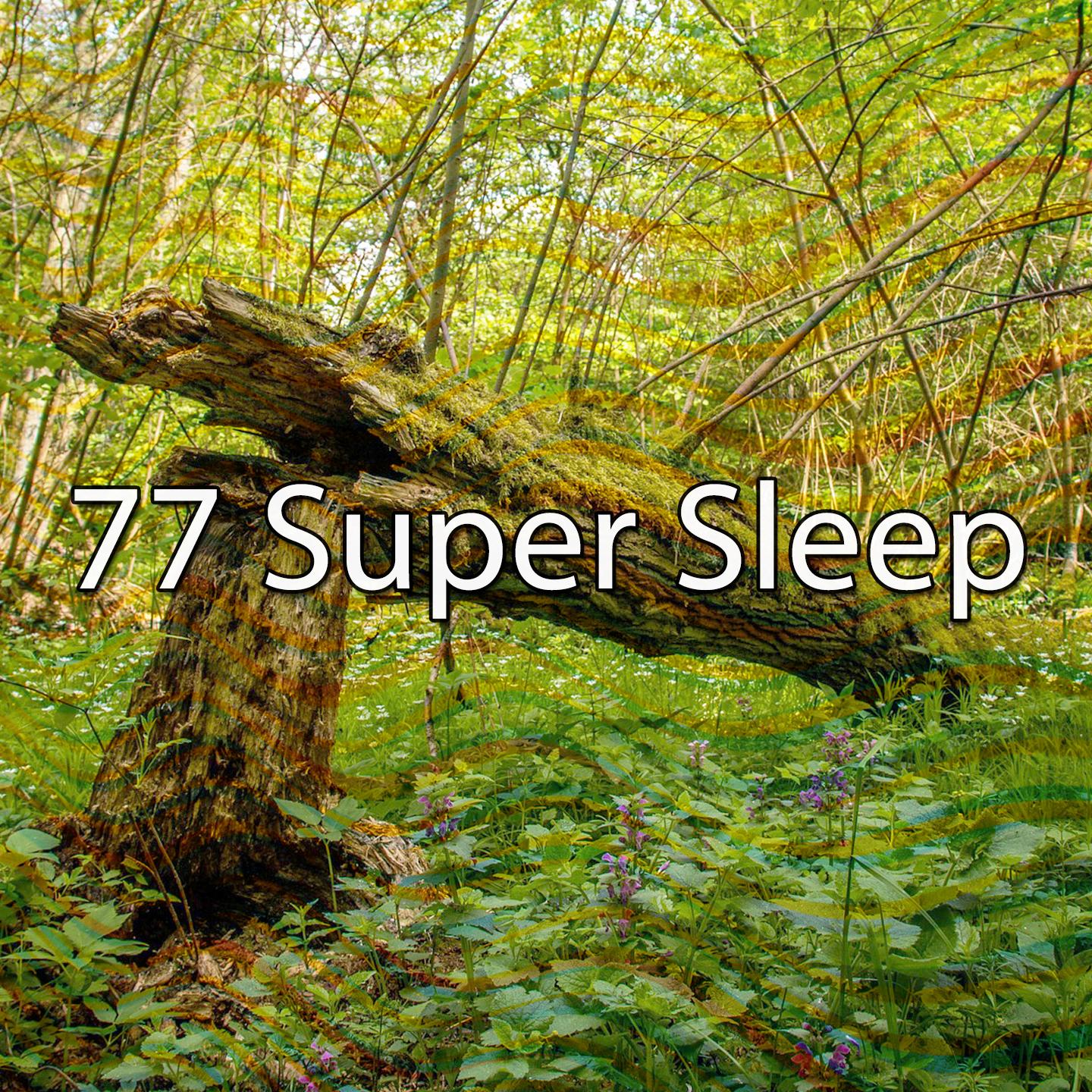 77 Super Sleep