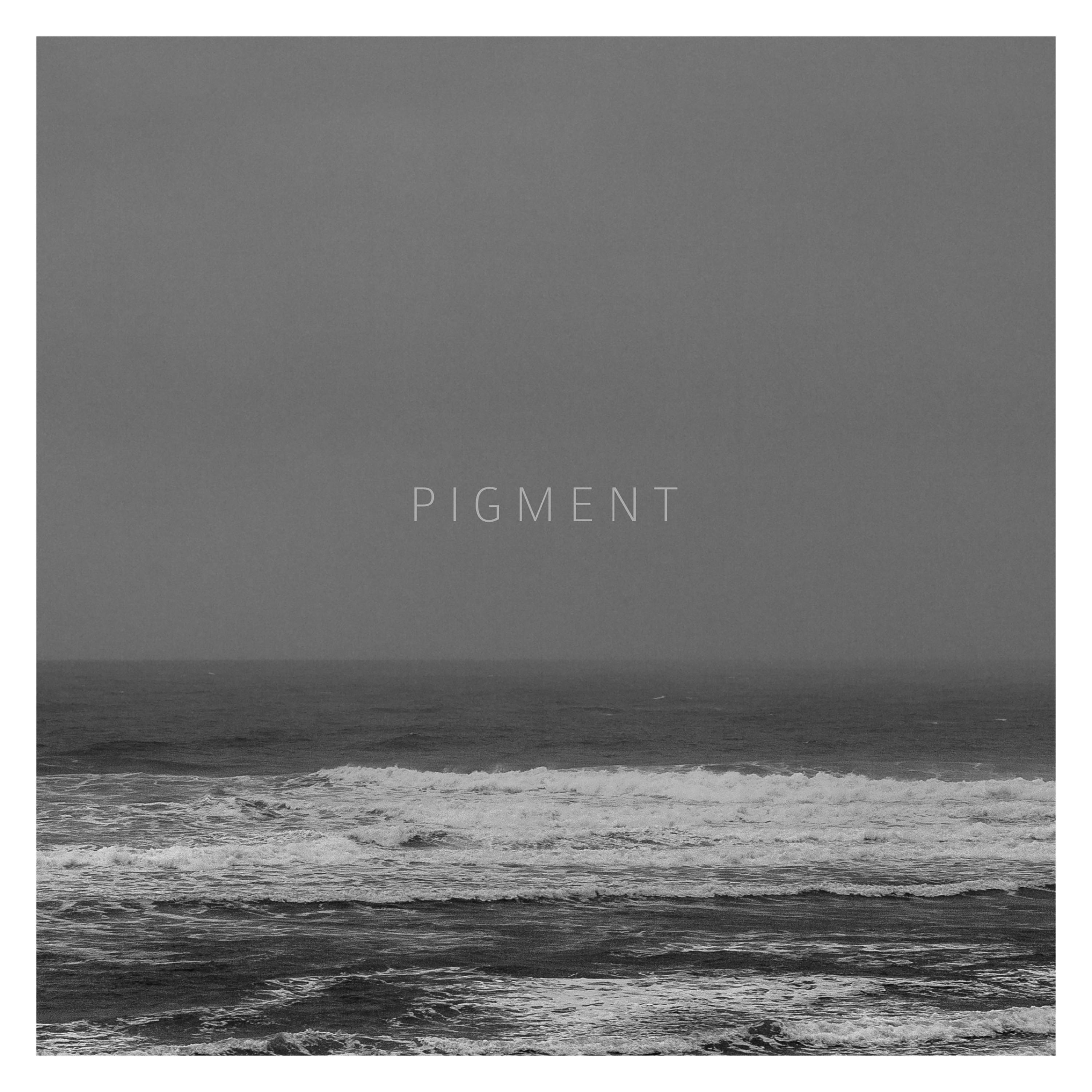 Pigment