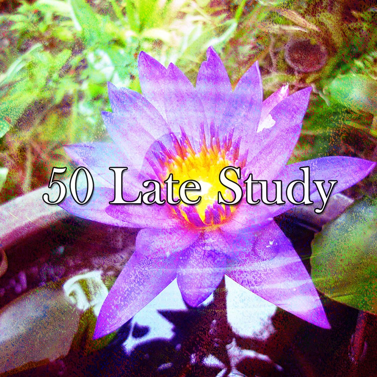 50 Late Study