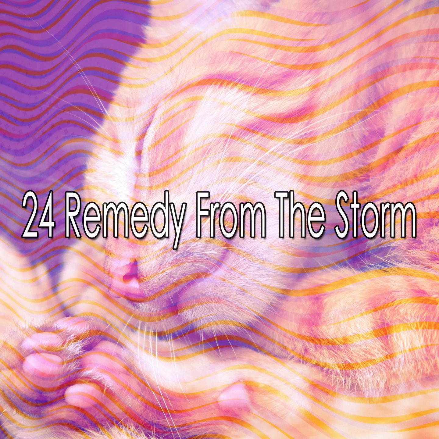 24 Remedy from the Storm