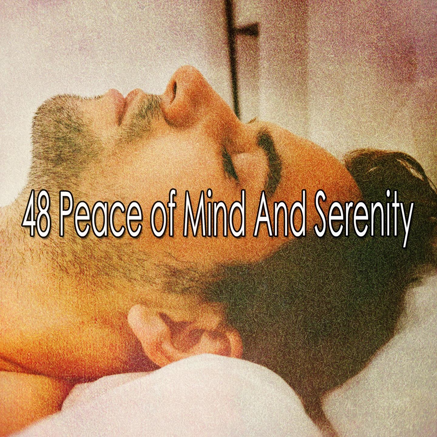 48 Peace of Mind and Serenity