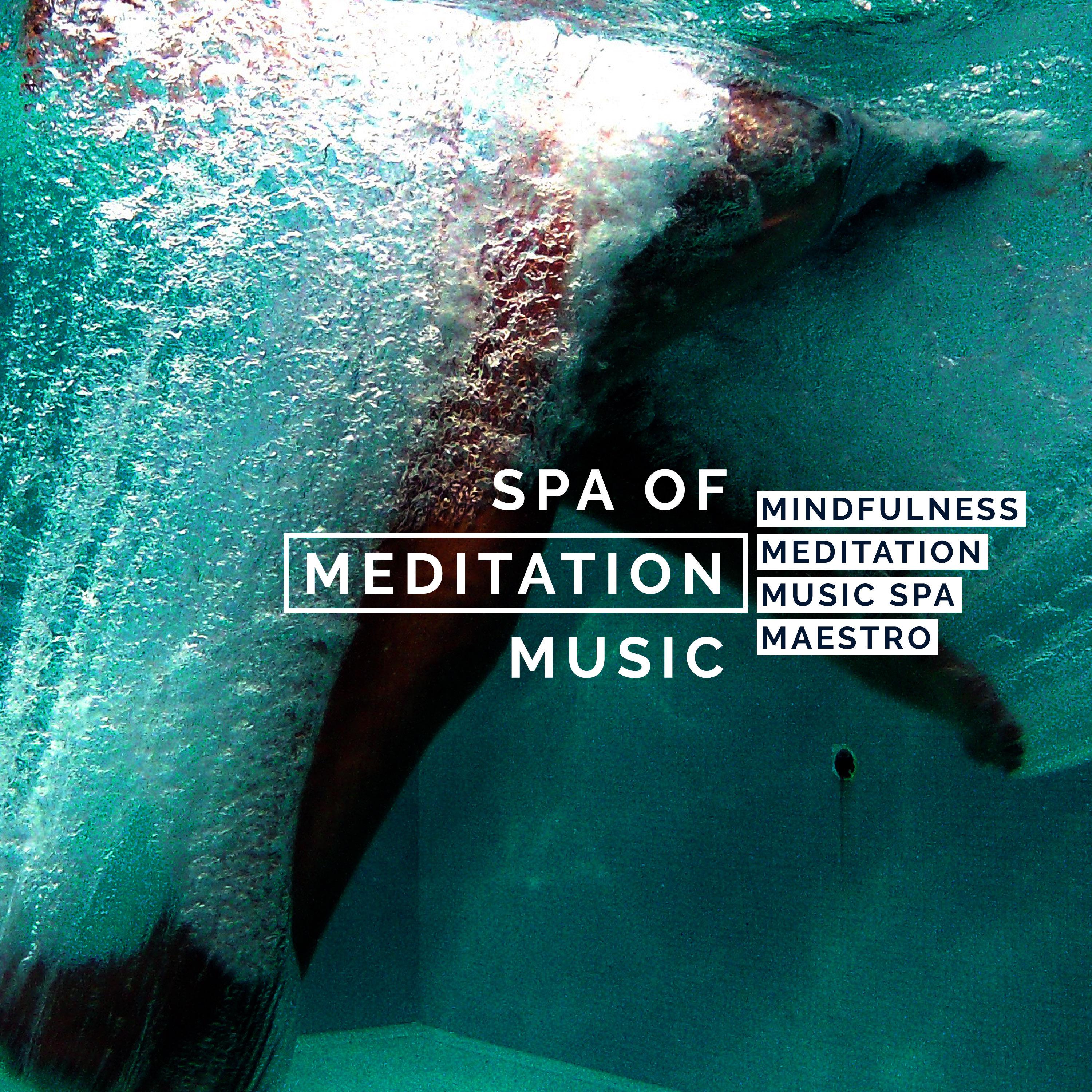 Spa of Meditation Music