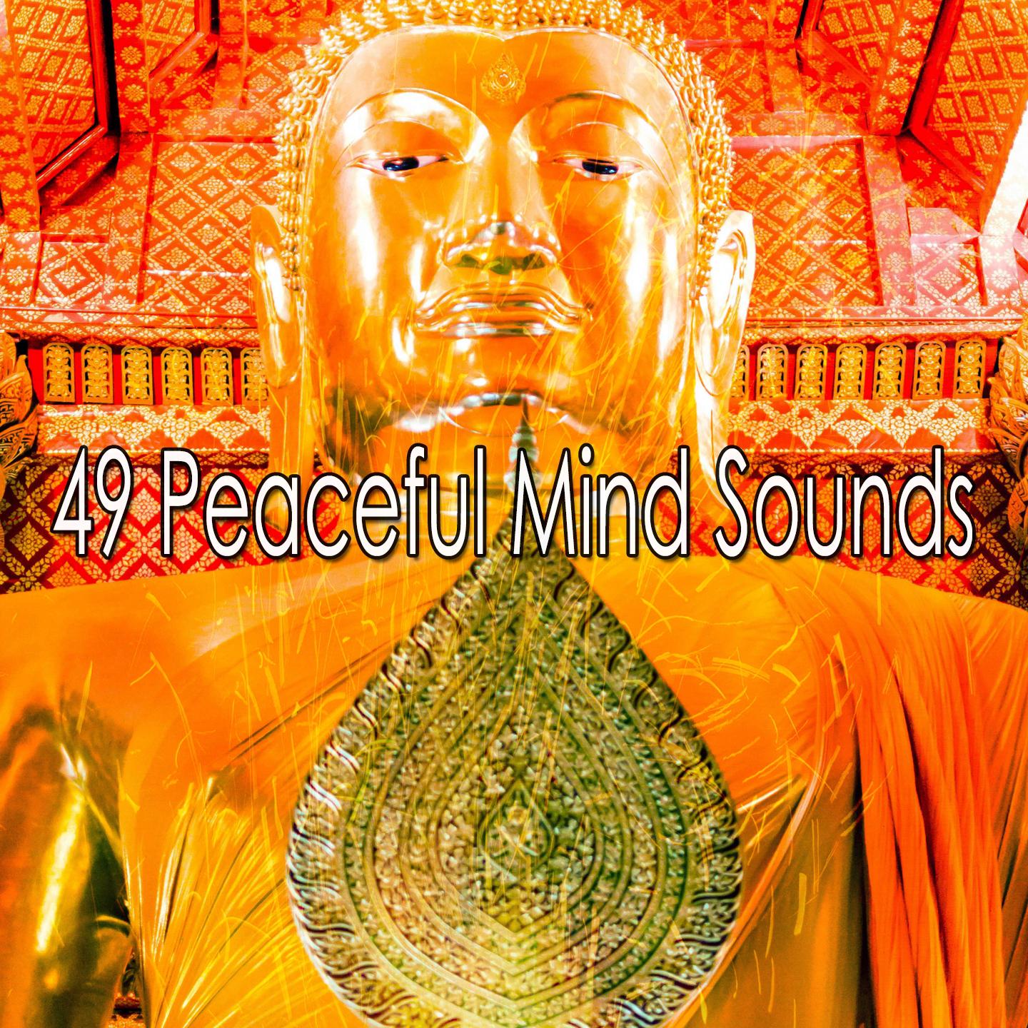 49 Peaceful Mind Sounds