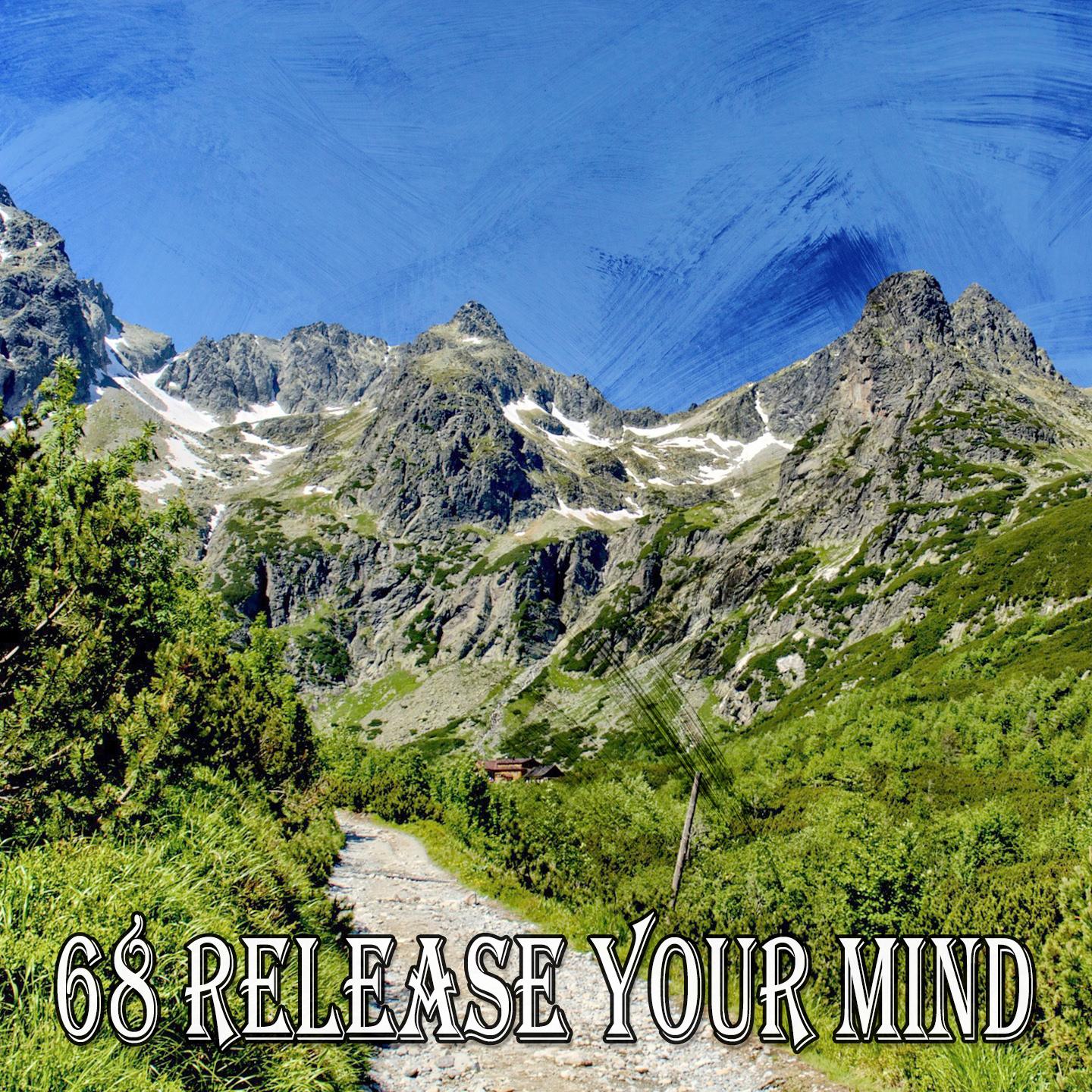 68 Release Your Mind