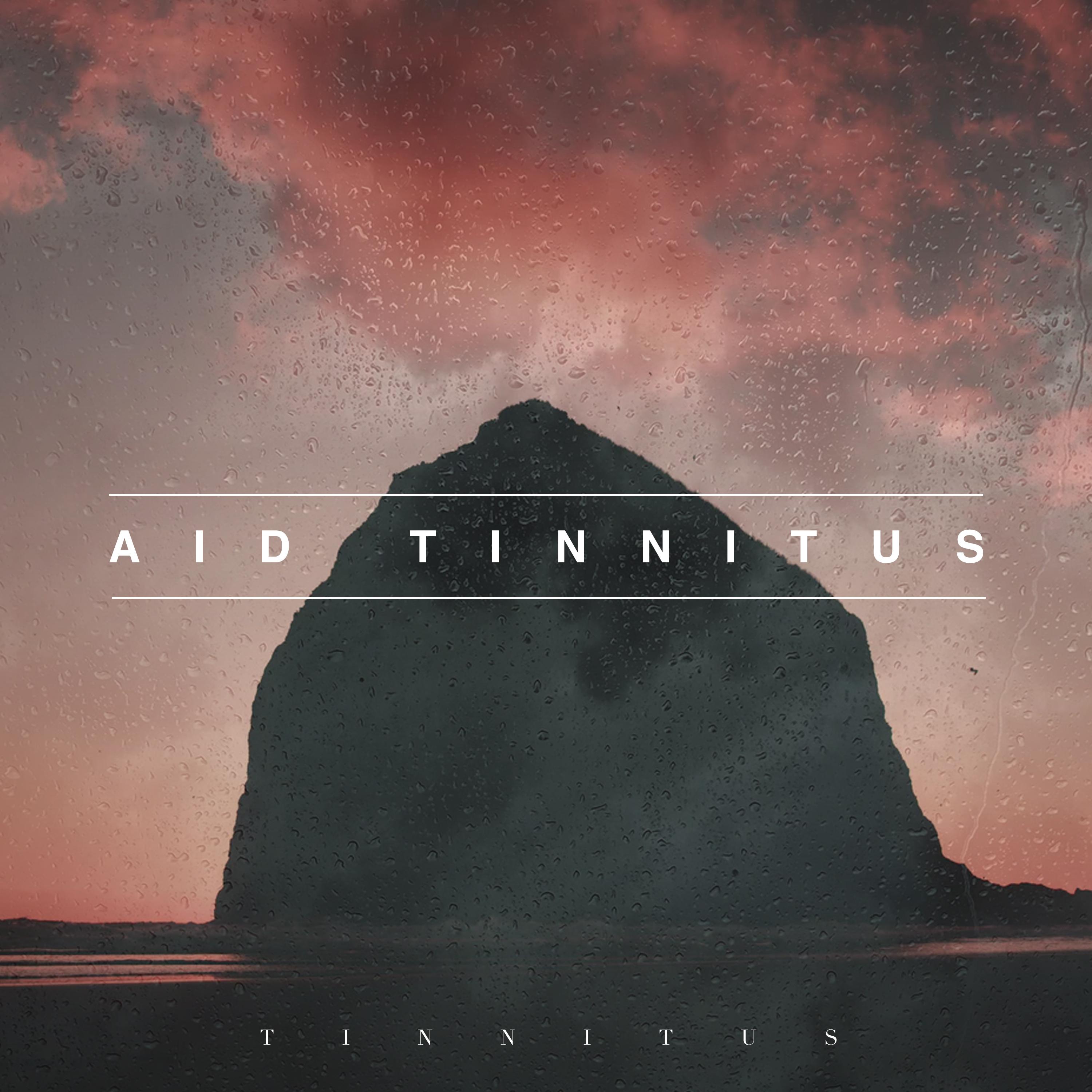 Aid Tinnitus