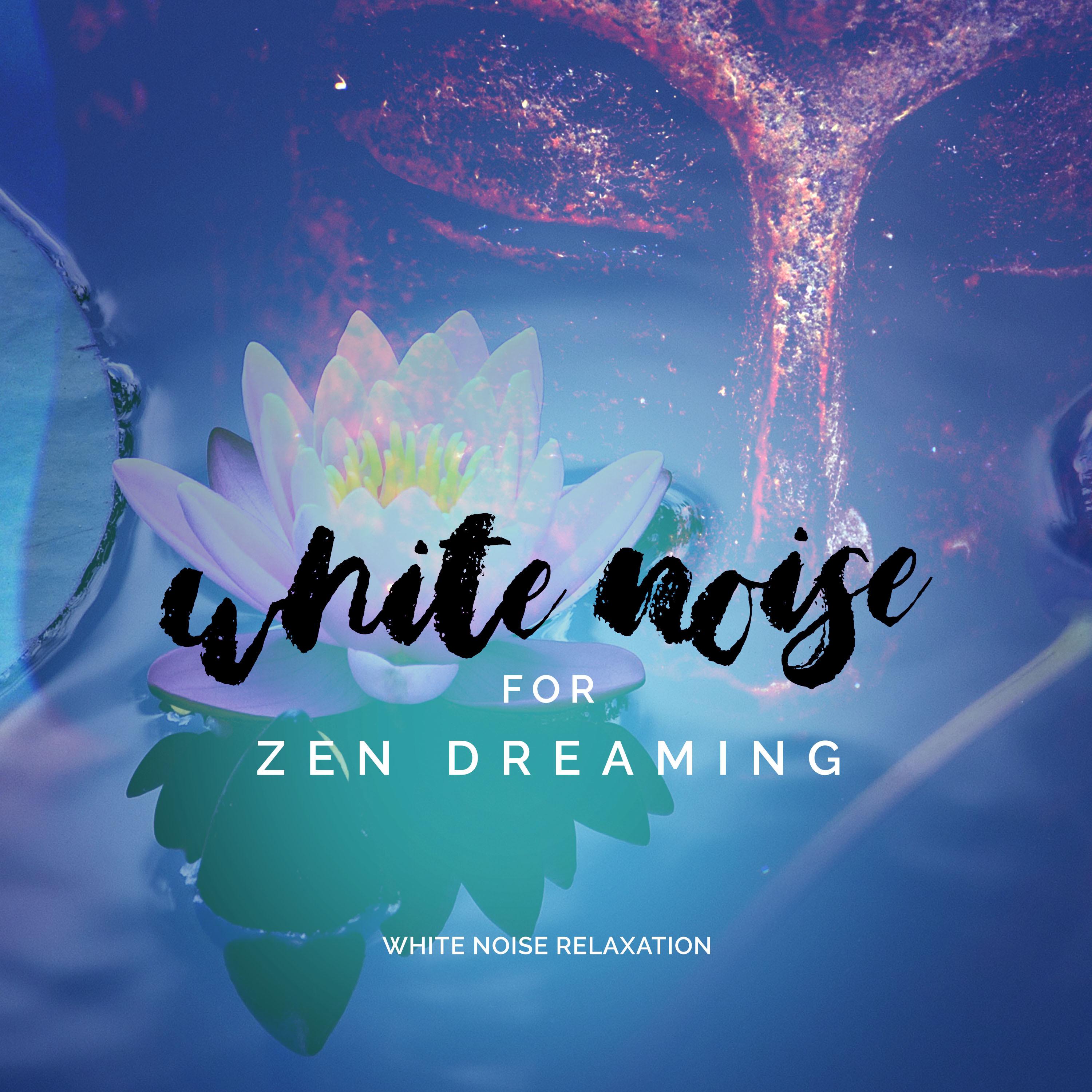 White Noise for Zen Dreaming