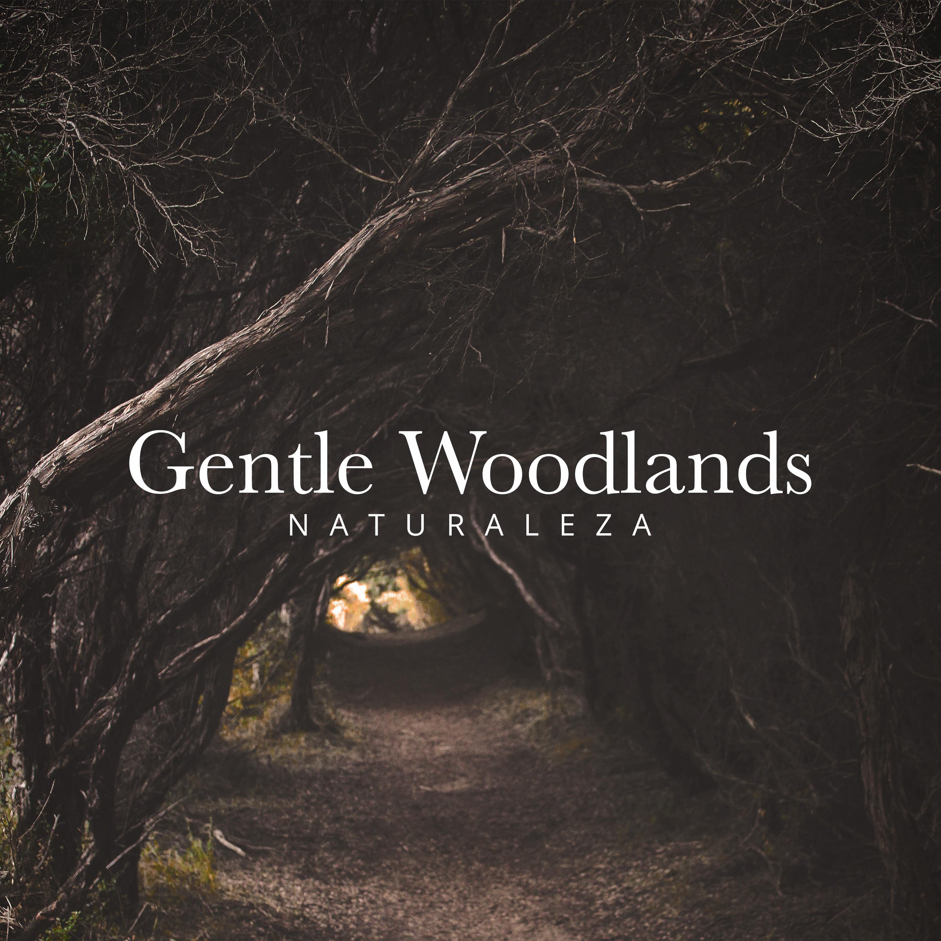 Gentle Woodlands