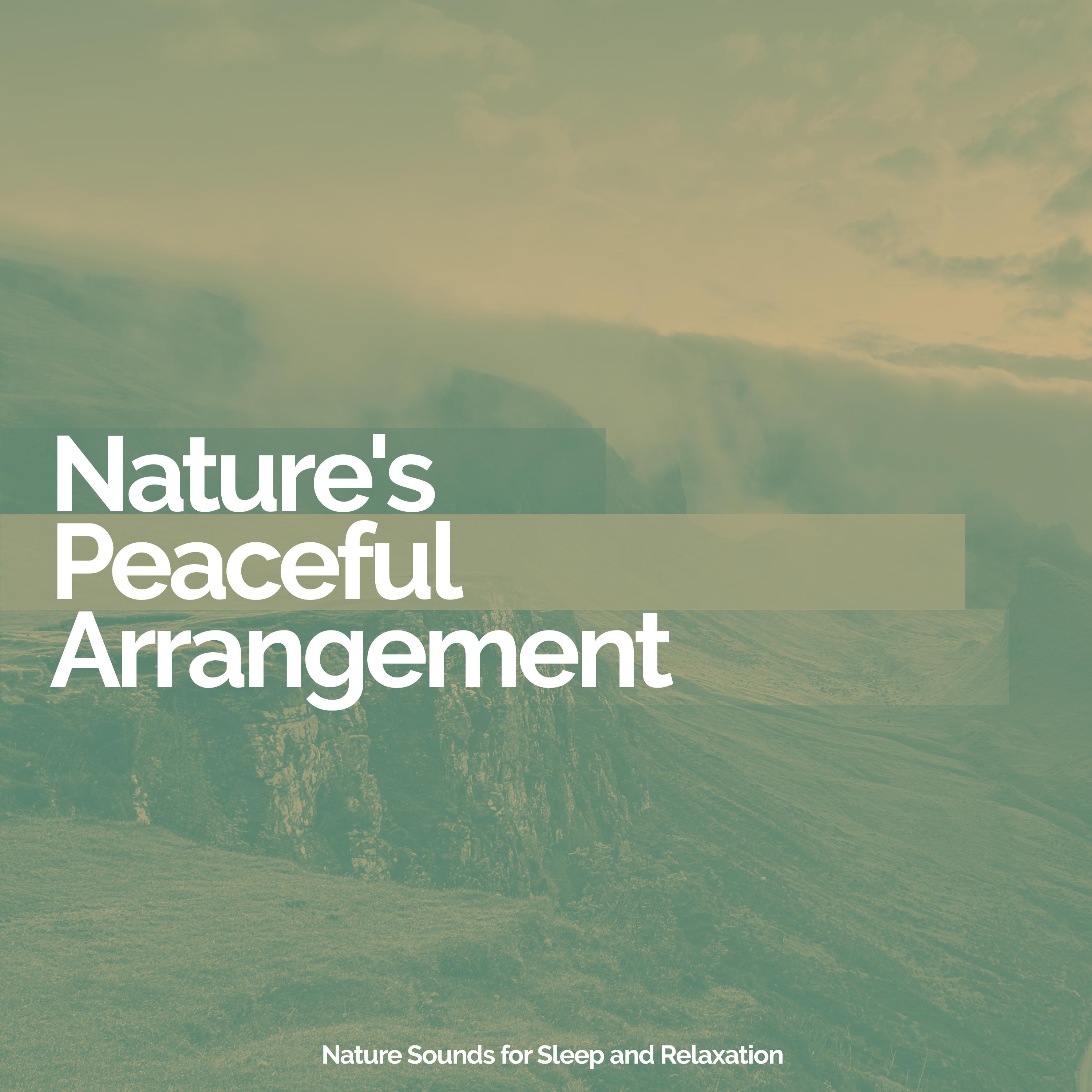 Nature's Peaceful Arrangement