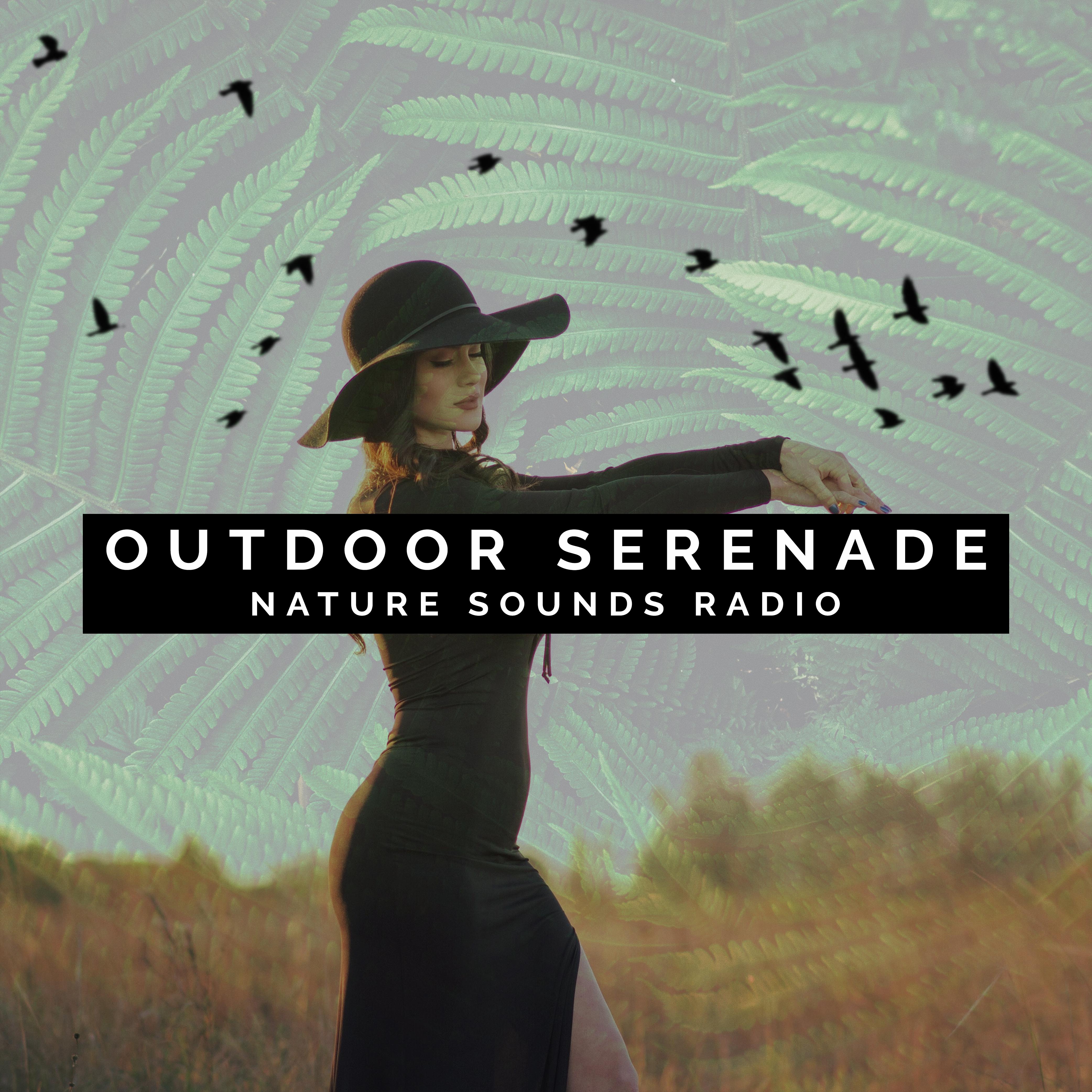 Outdoor Serenade
