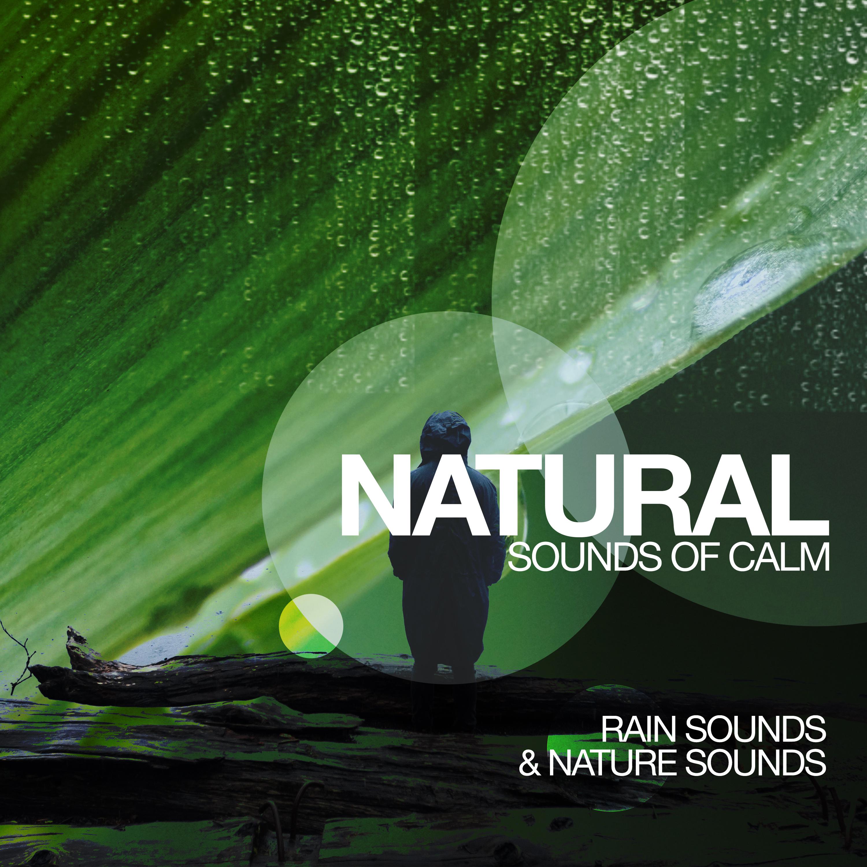 Natural Sounds of Calm