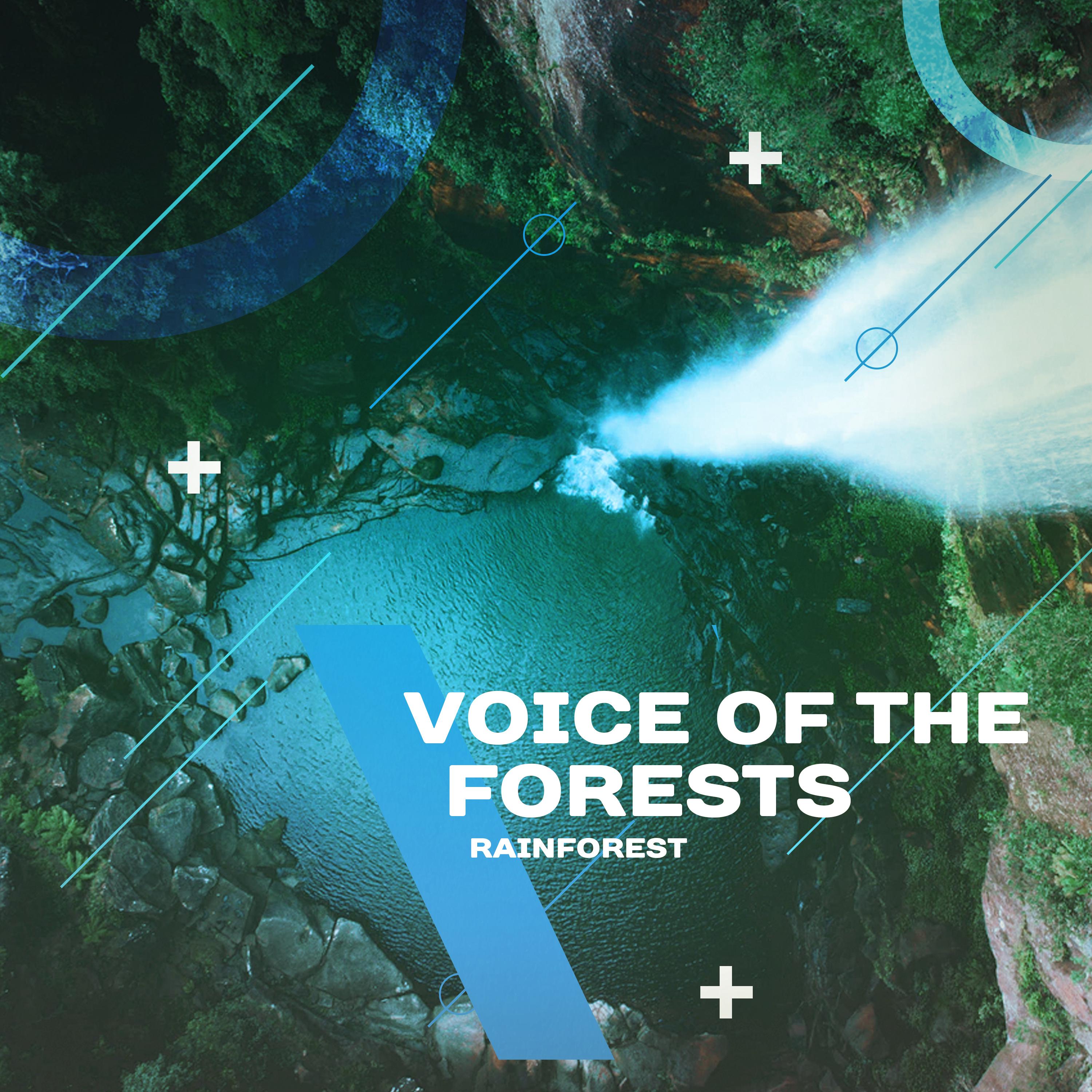 Voice of the Forests