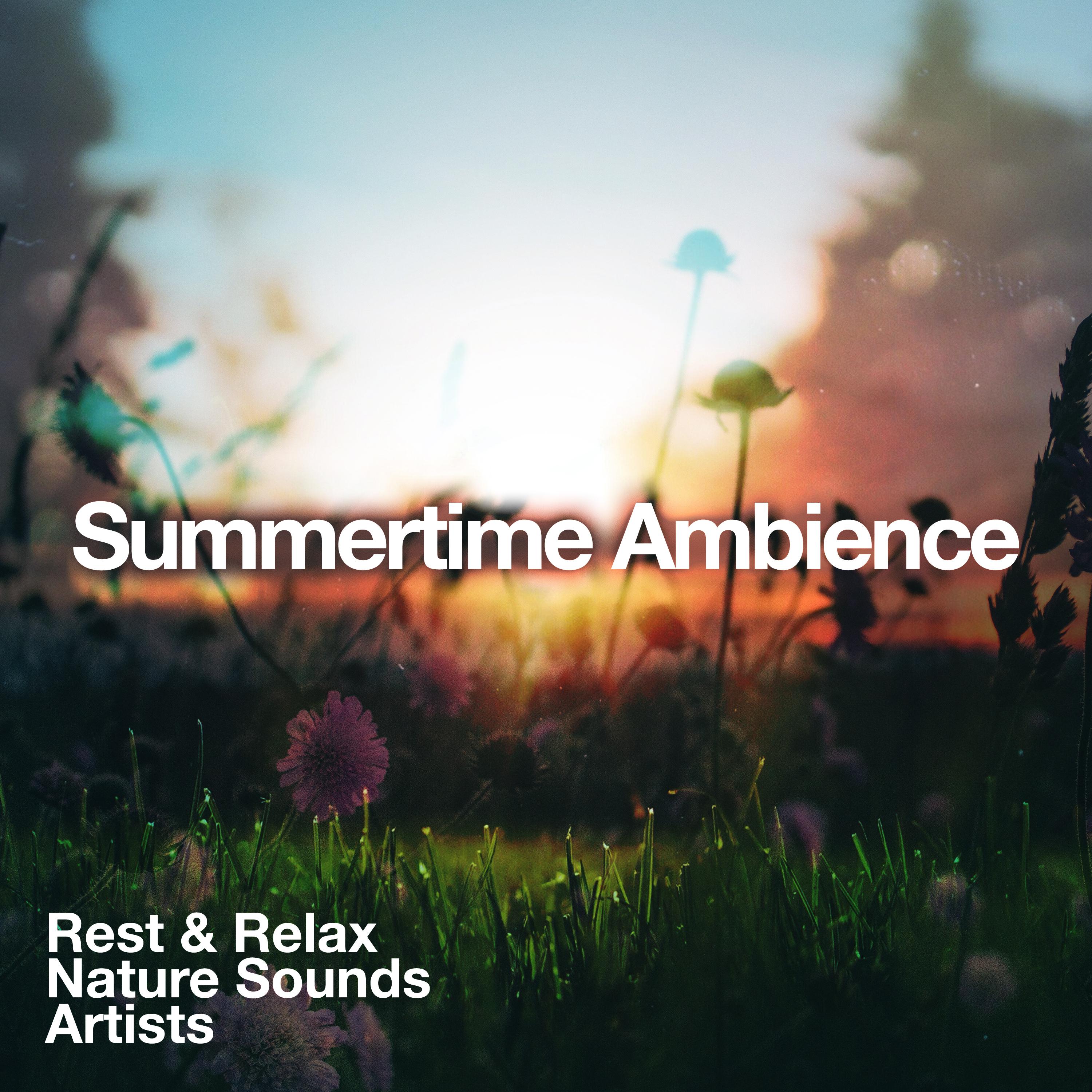 Summertime Ambience