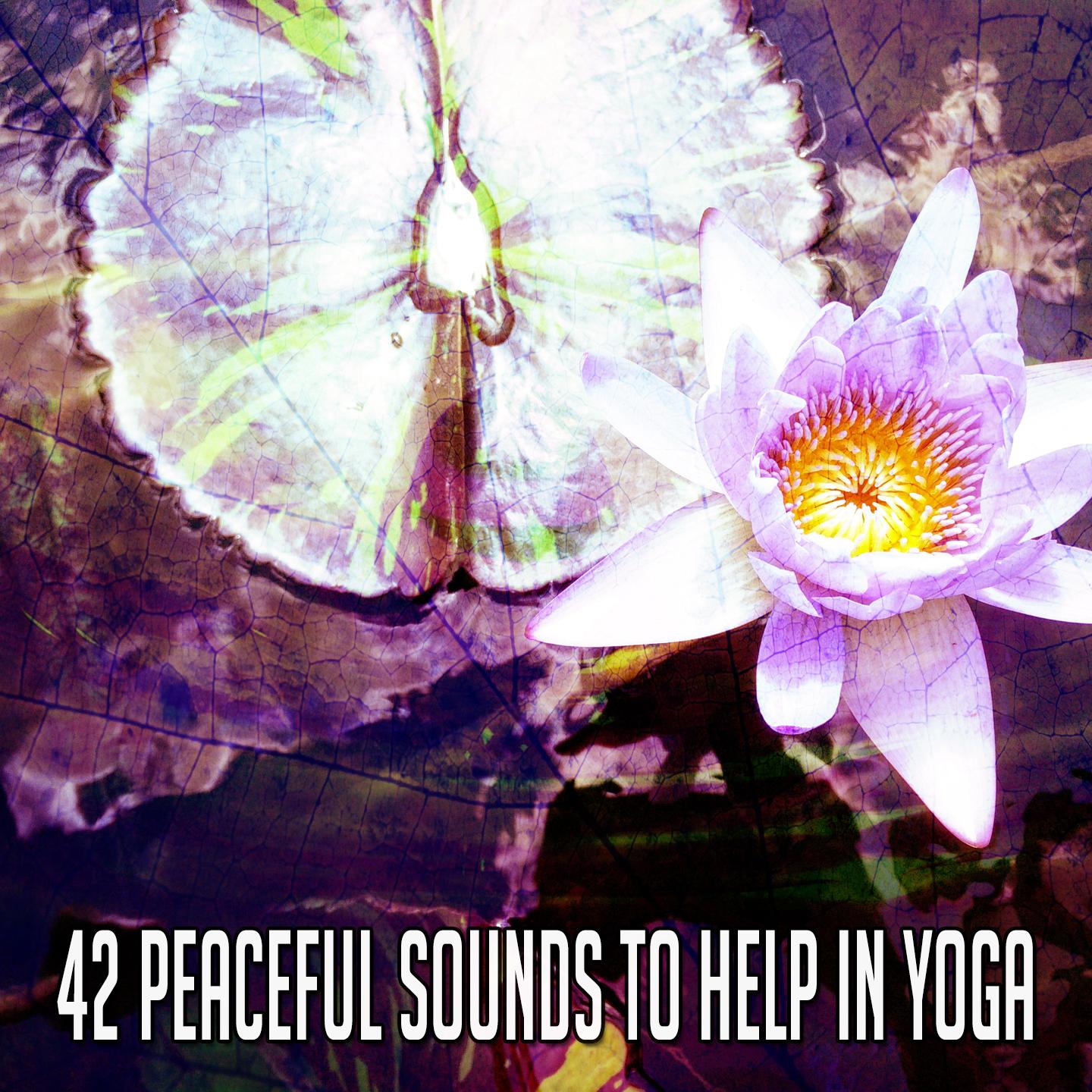 42 Peaceful Sounds to Help in Yoga