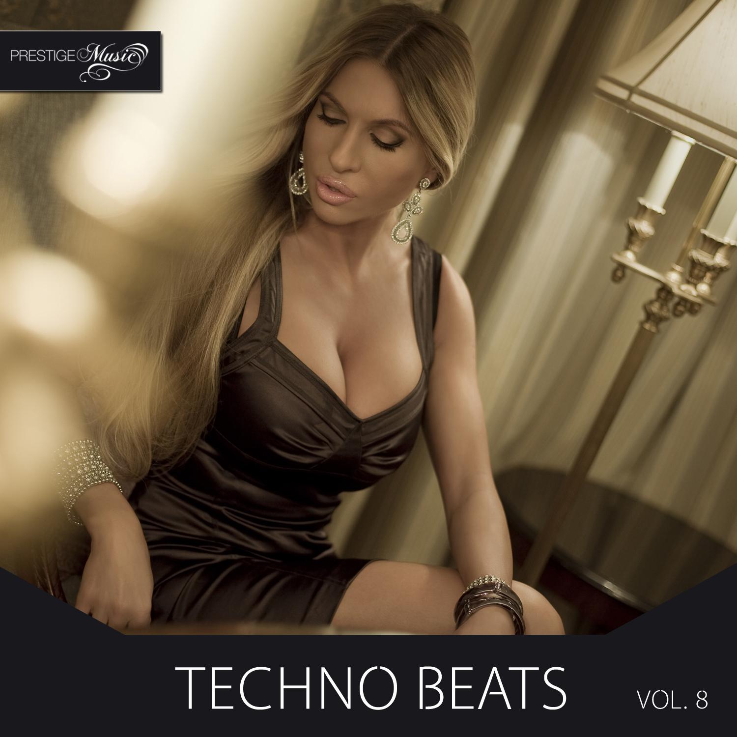 Techno Beats, Vol.8
