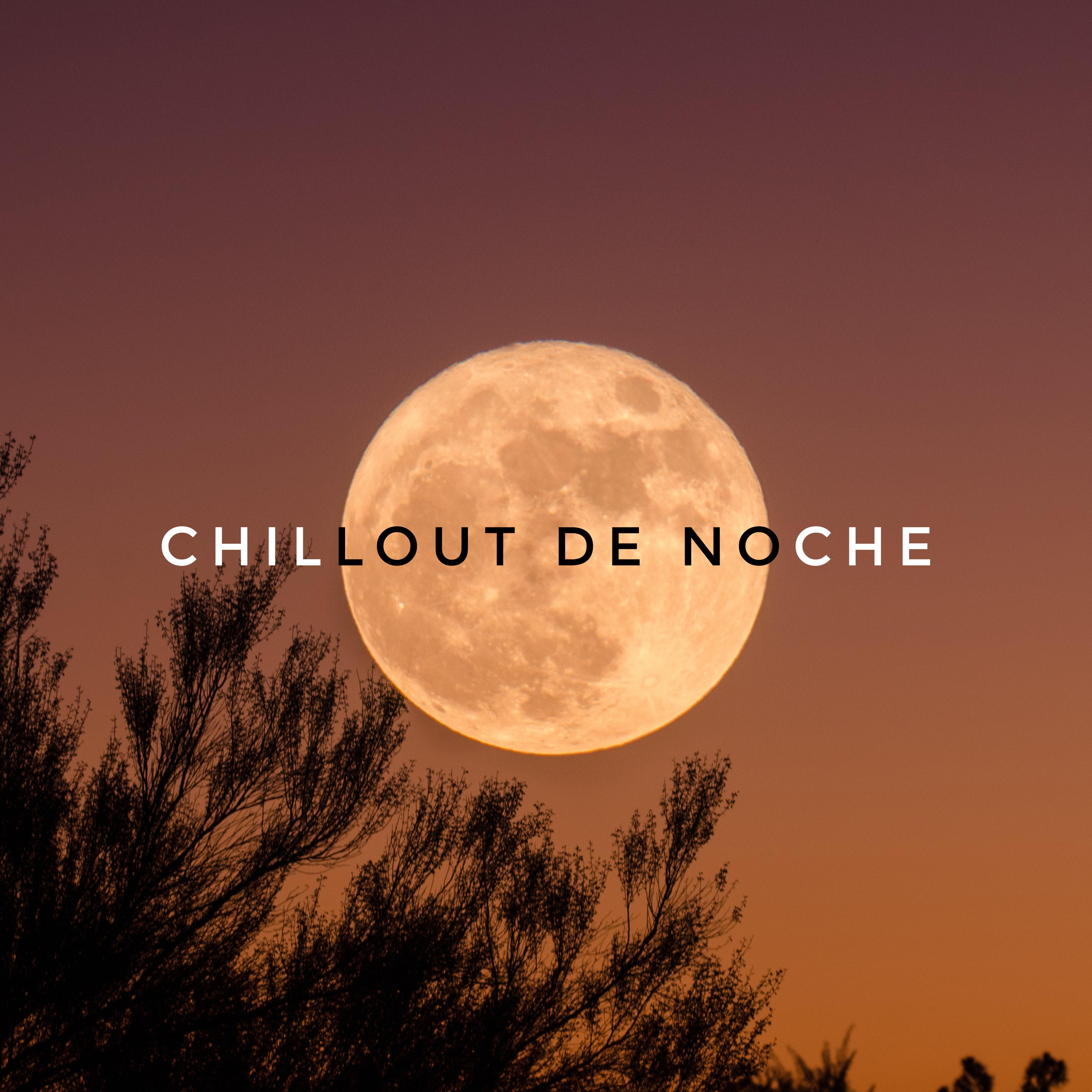 Chillout de Noche  Mu sica para la Relajacio n, el Descanso, la Tranquilidad y el Alivio del Estre s