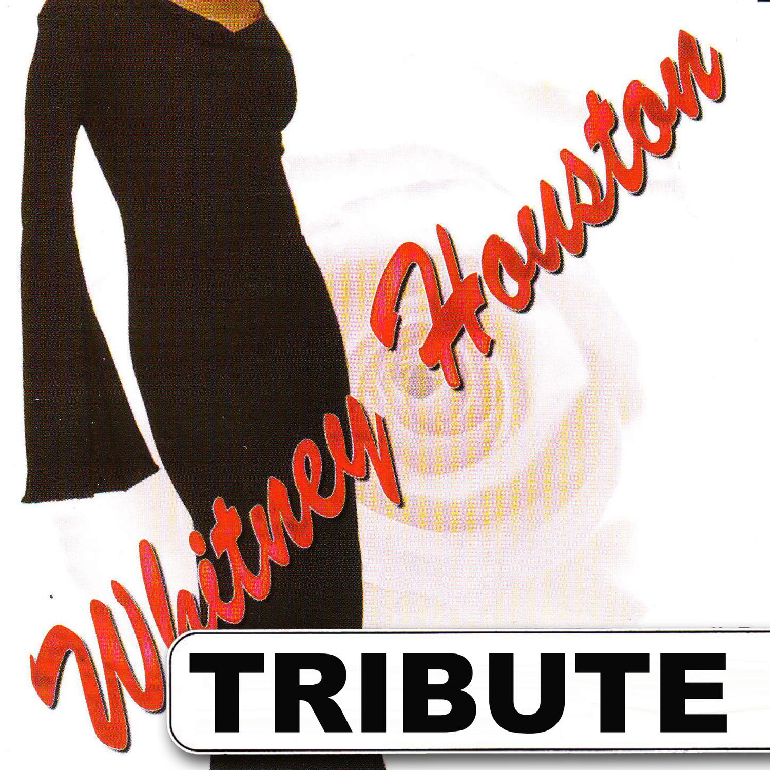 Dubble Trubble Tribute to Whitney Houston - Best of