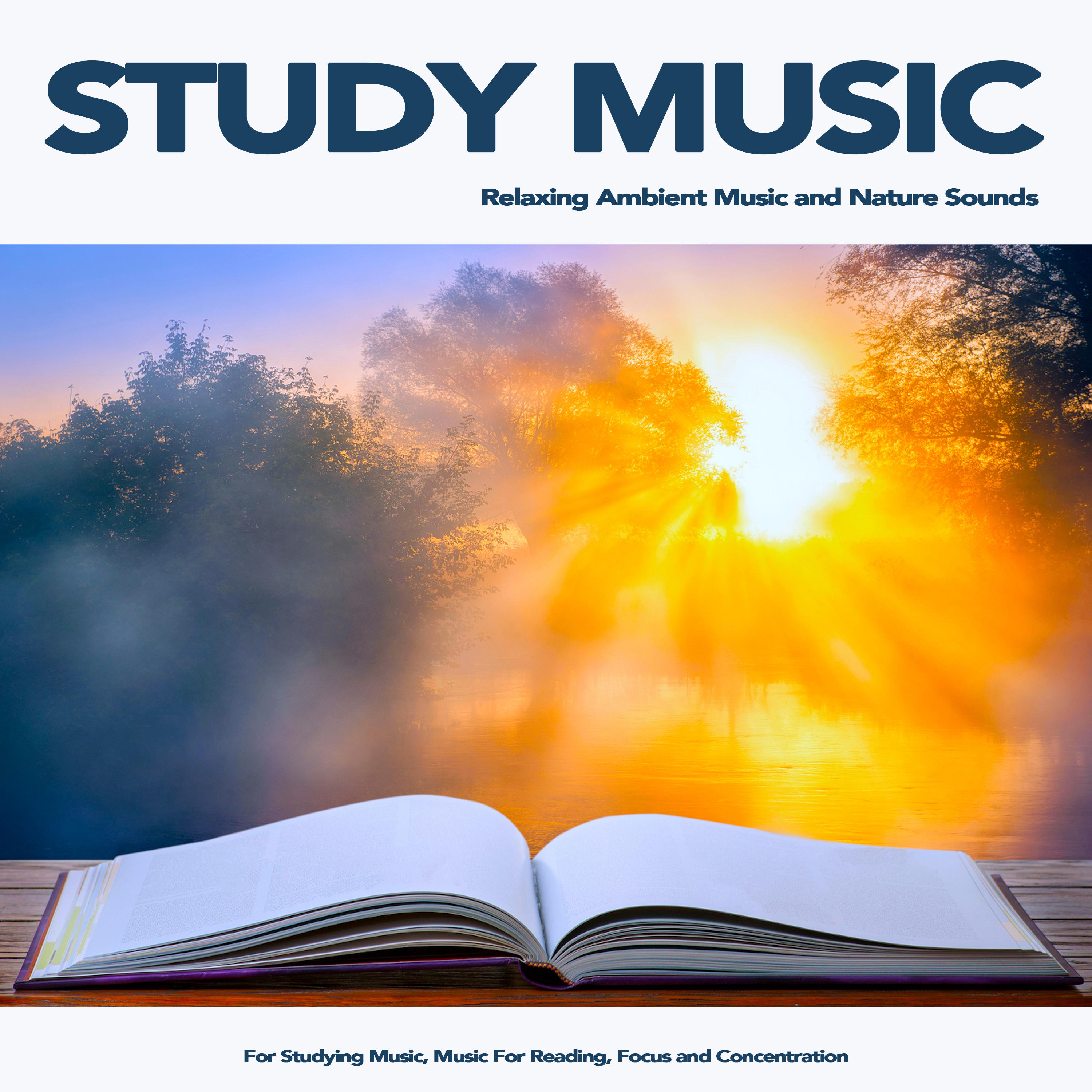 Study Music: Relaxing Ambient Music and Nature Sounds For Studying Music, Music For Reading, Focus and Concentration
