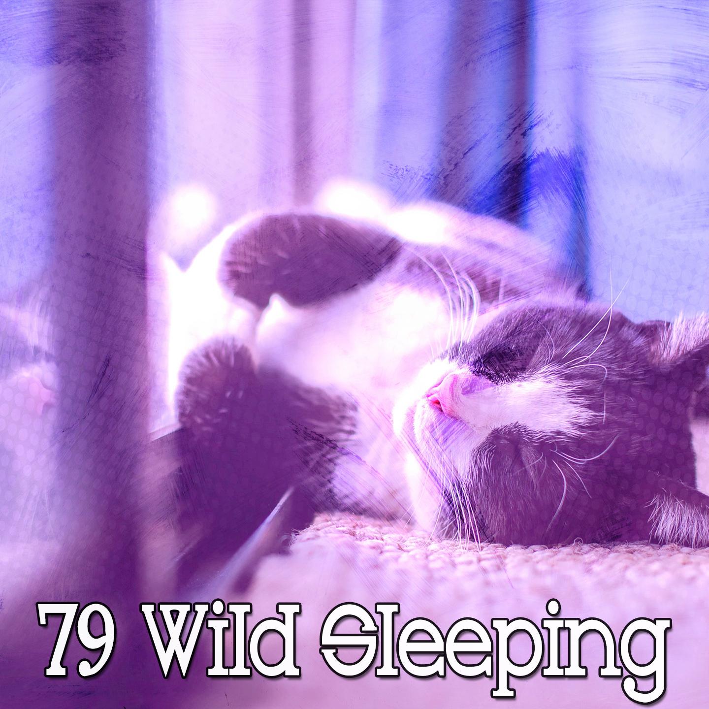 79 Wild Sleeping