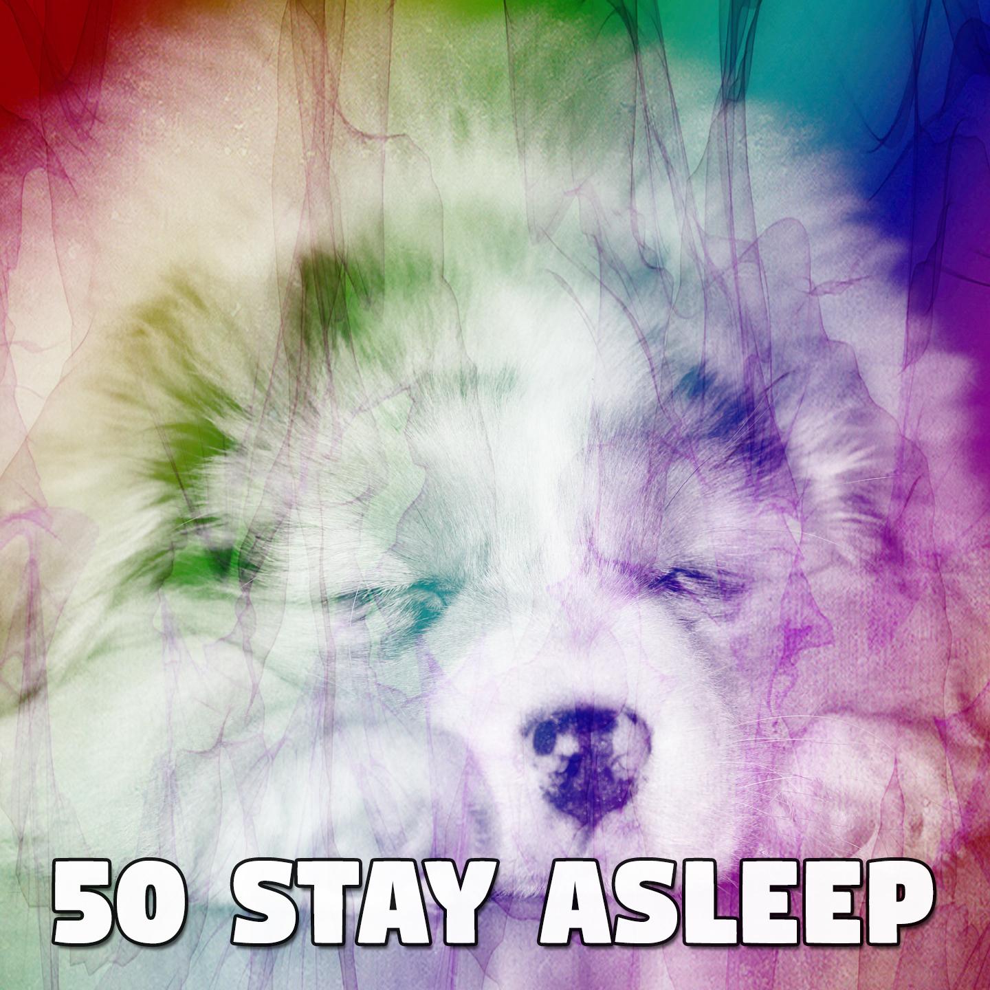 50 Stay Asleep