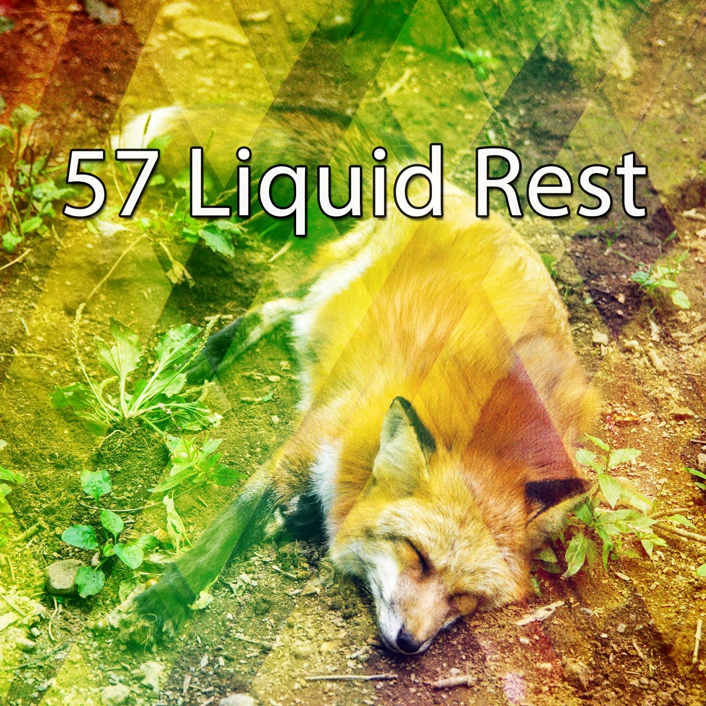 57 Liquid Rest