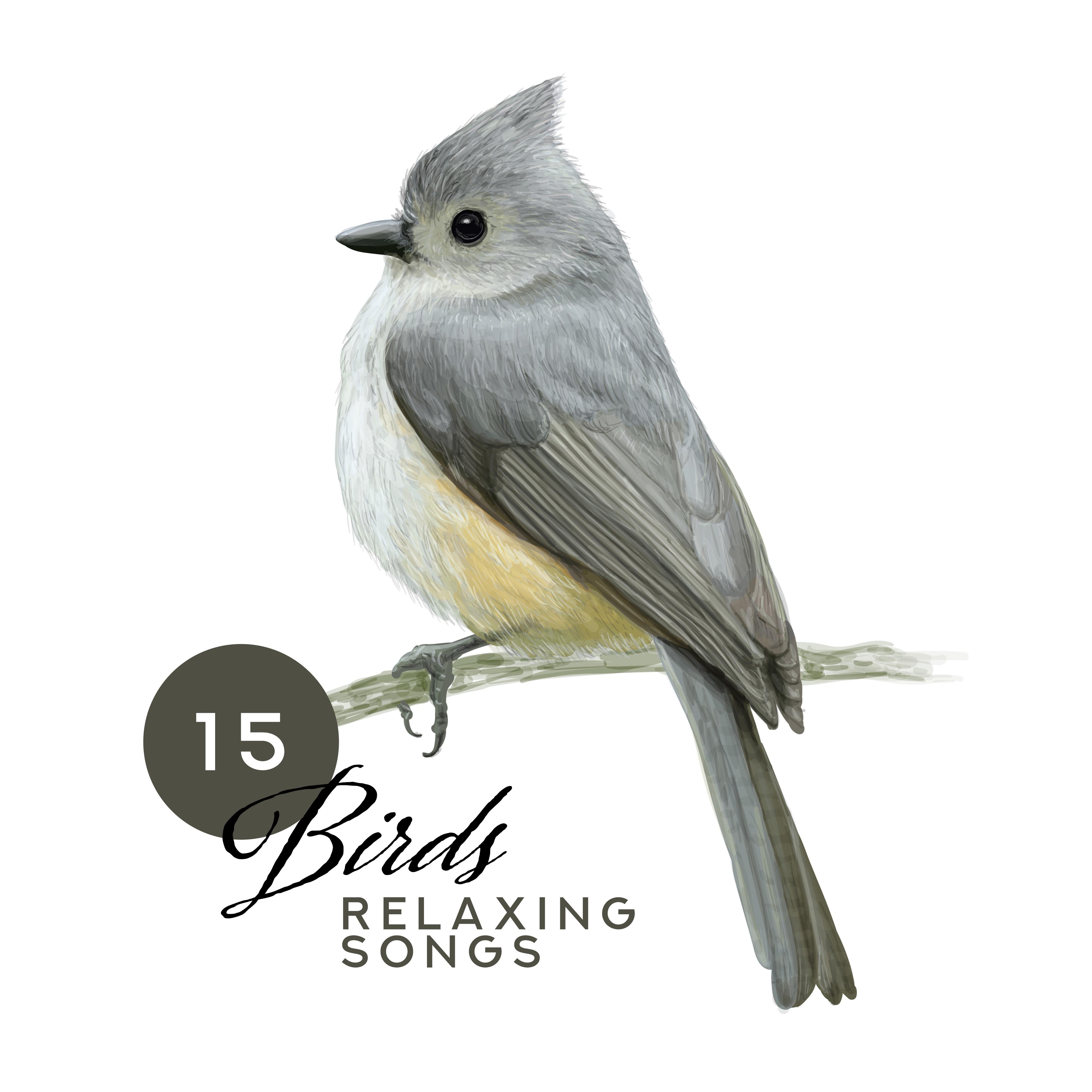 15 Birds Relaxing Songs: New Age Ambient Nature Music 2019, Songs for Total Relax at Home or Spa, Beautiful Sounds of Birds, Forest, Wind & Other, Soothing Melodies Played on Guitar & Piano