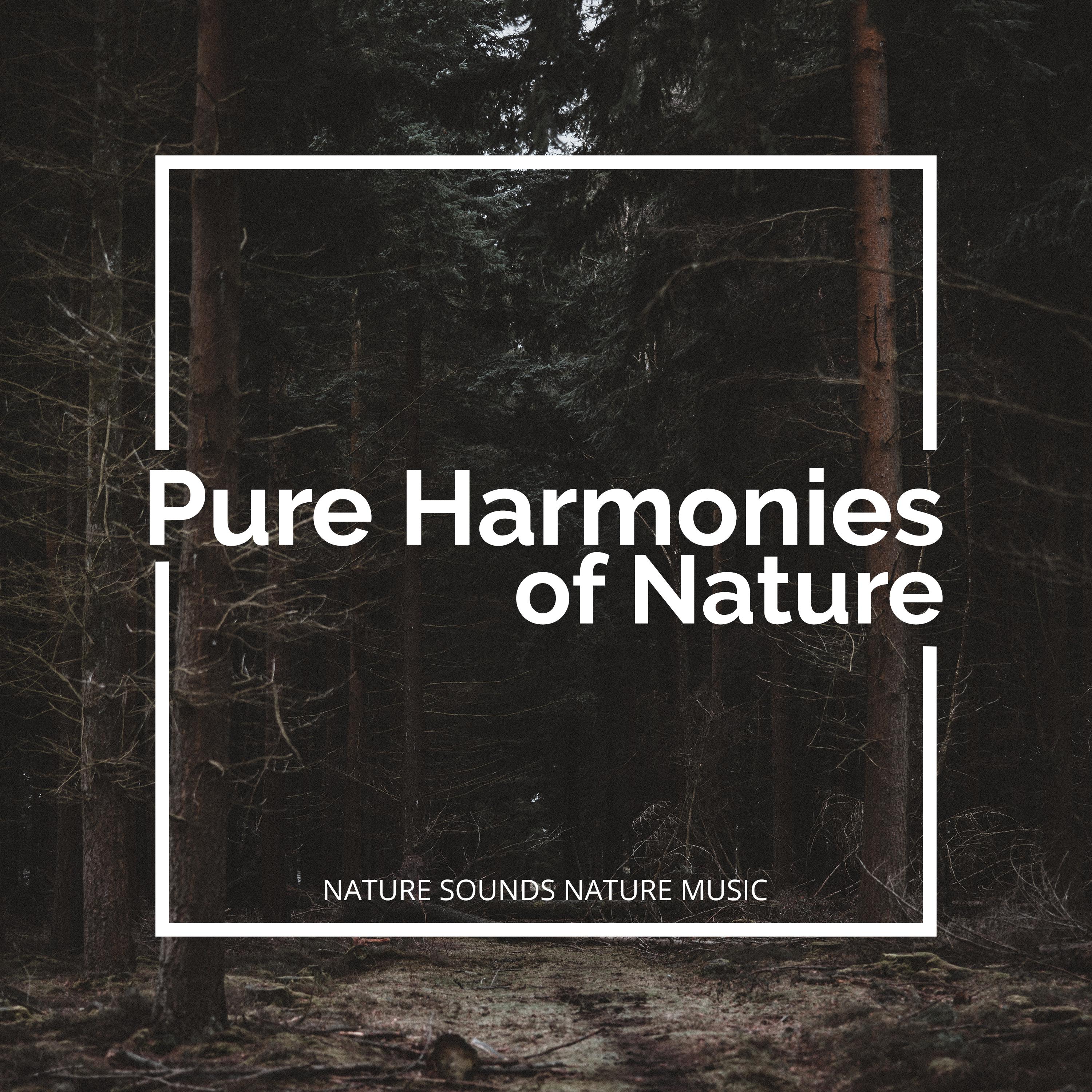 Pure Harmonies of Nature