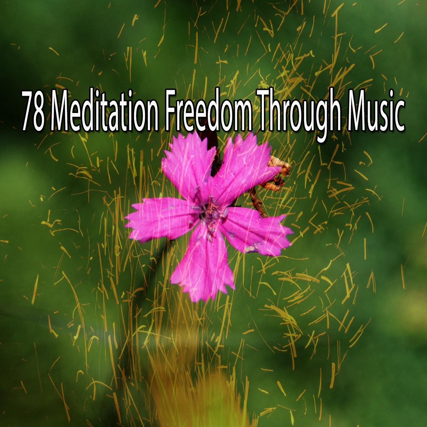 78 Meditation Freedom Through Music