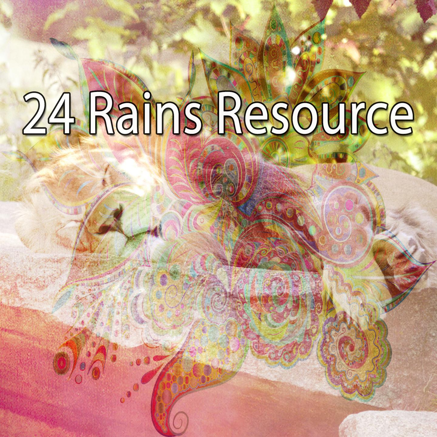 24 Rains Resource