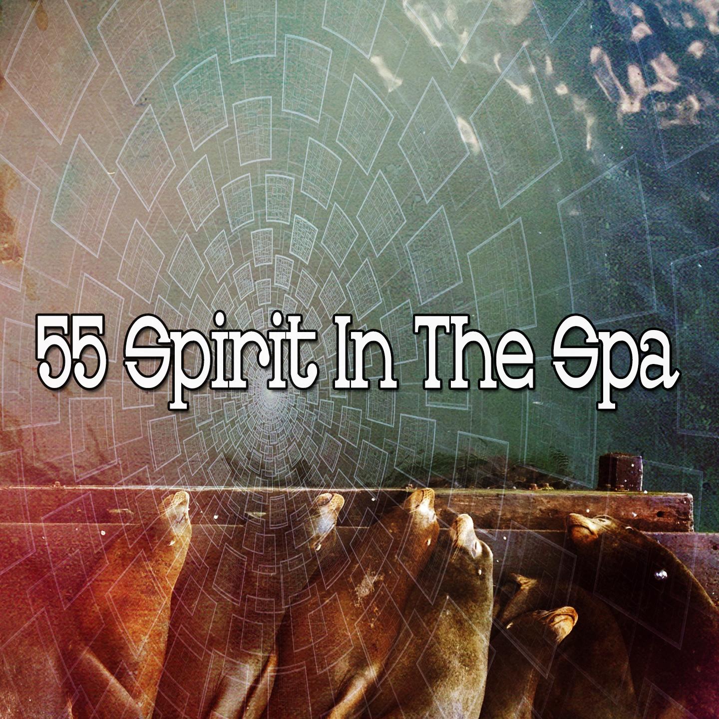 55 Spirit in the Spa